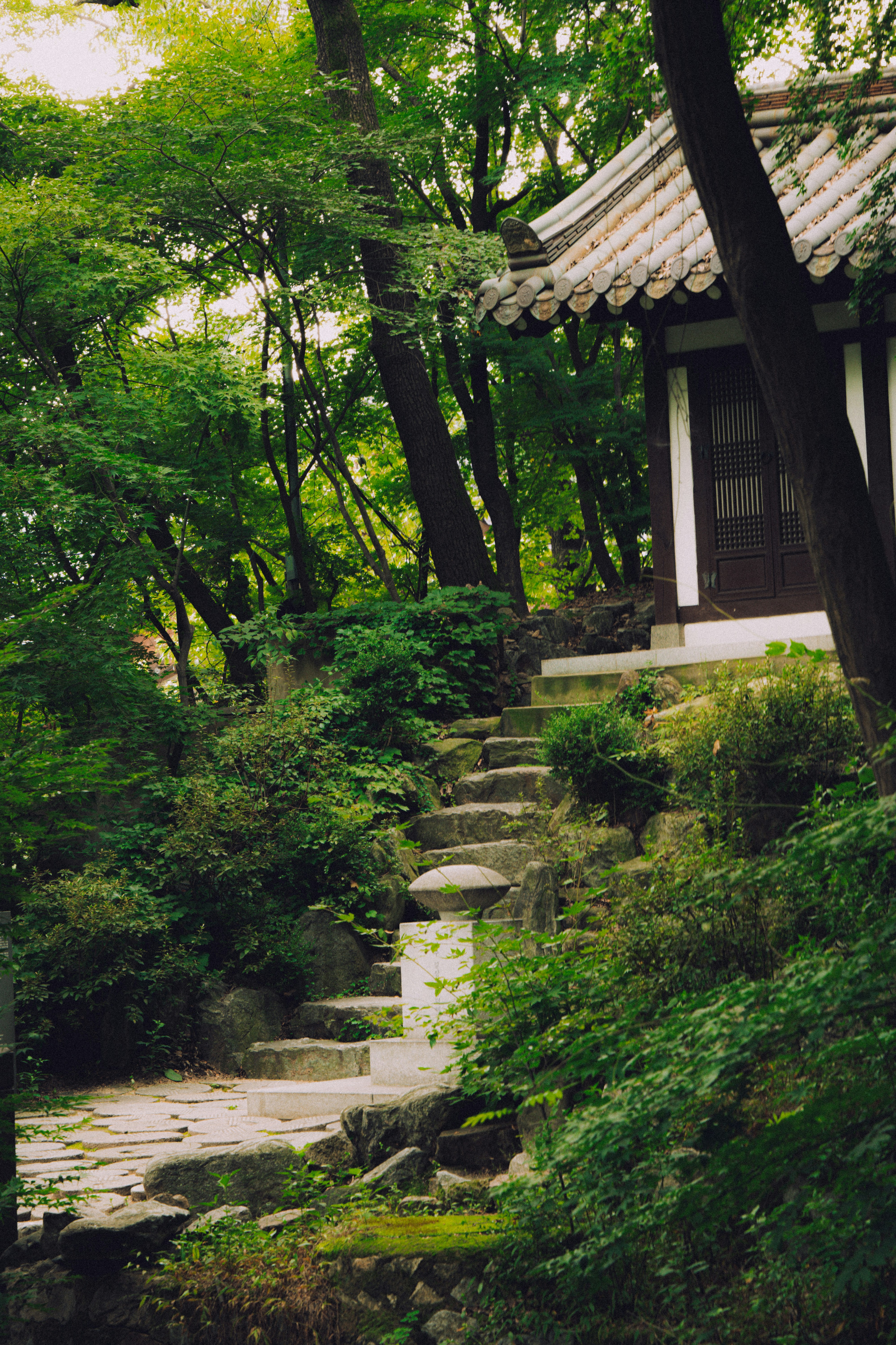 Photo by brother_yoon