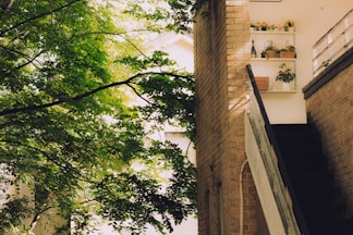 Green trees beside a brick building with shelves.