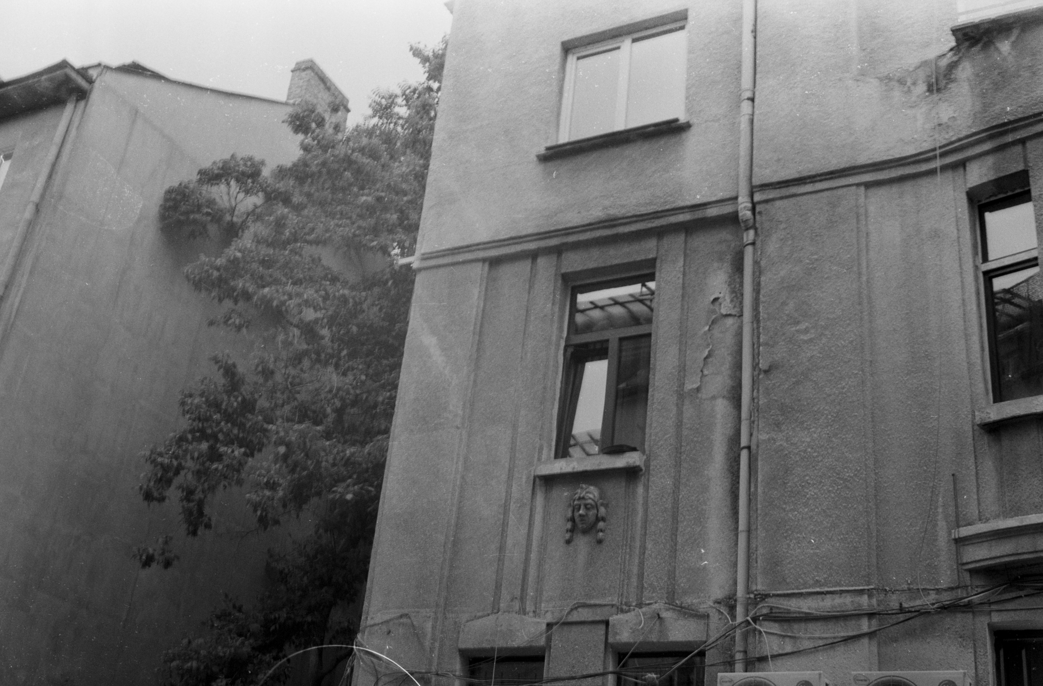 Old buildings with ivy growing on the side.