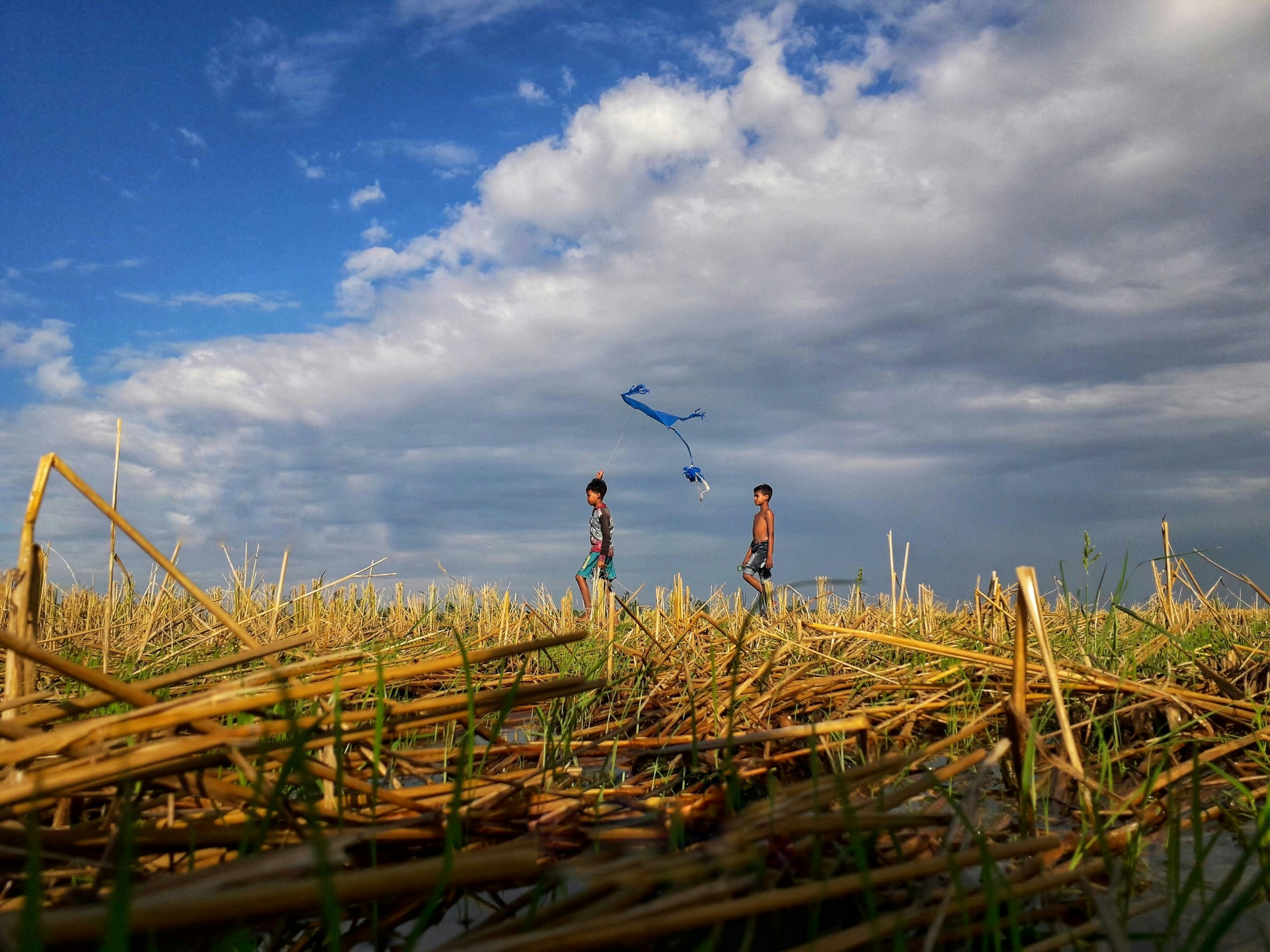 Two children flying a kite in a dry field.