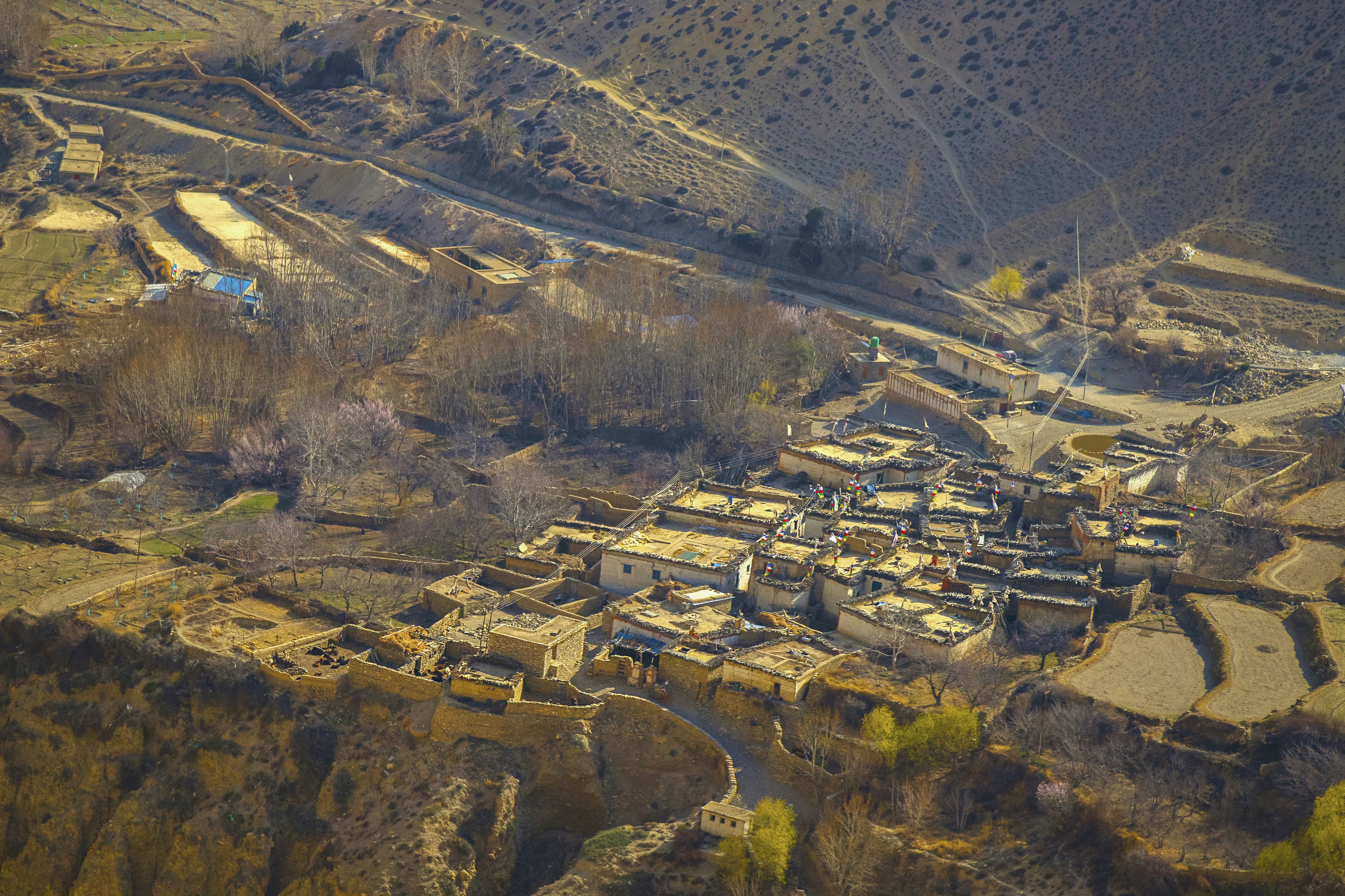 Photo by ashokjkshetri