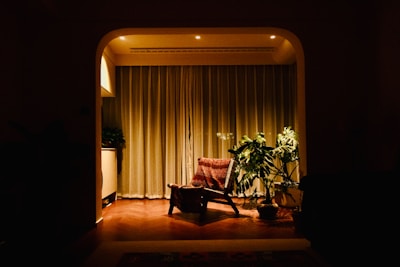 Cozy armchair with plants in a dimly lit room.