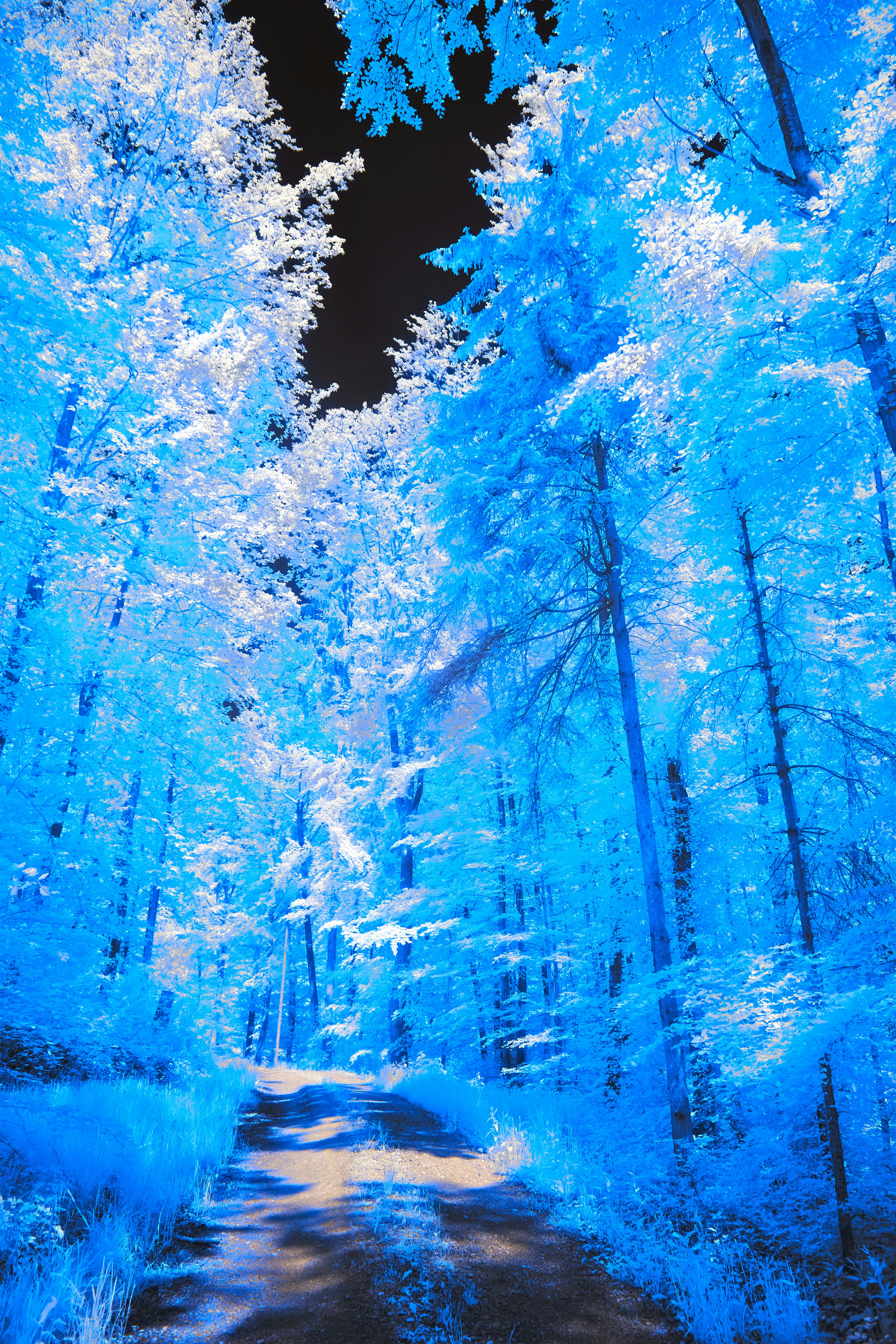 Photo by wolfgang_hasselmann