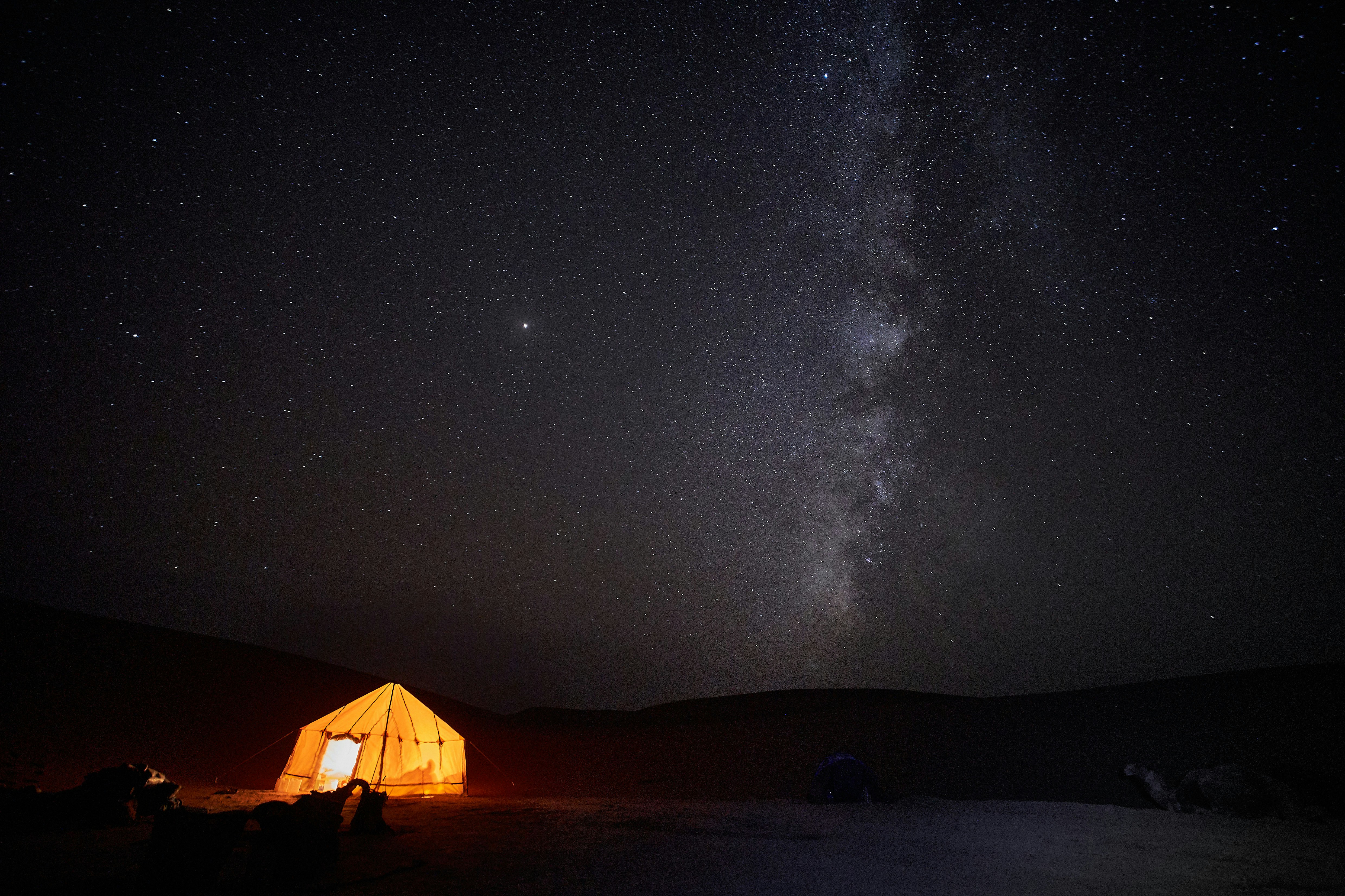 Photo by wolfgang_hasselmann