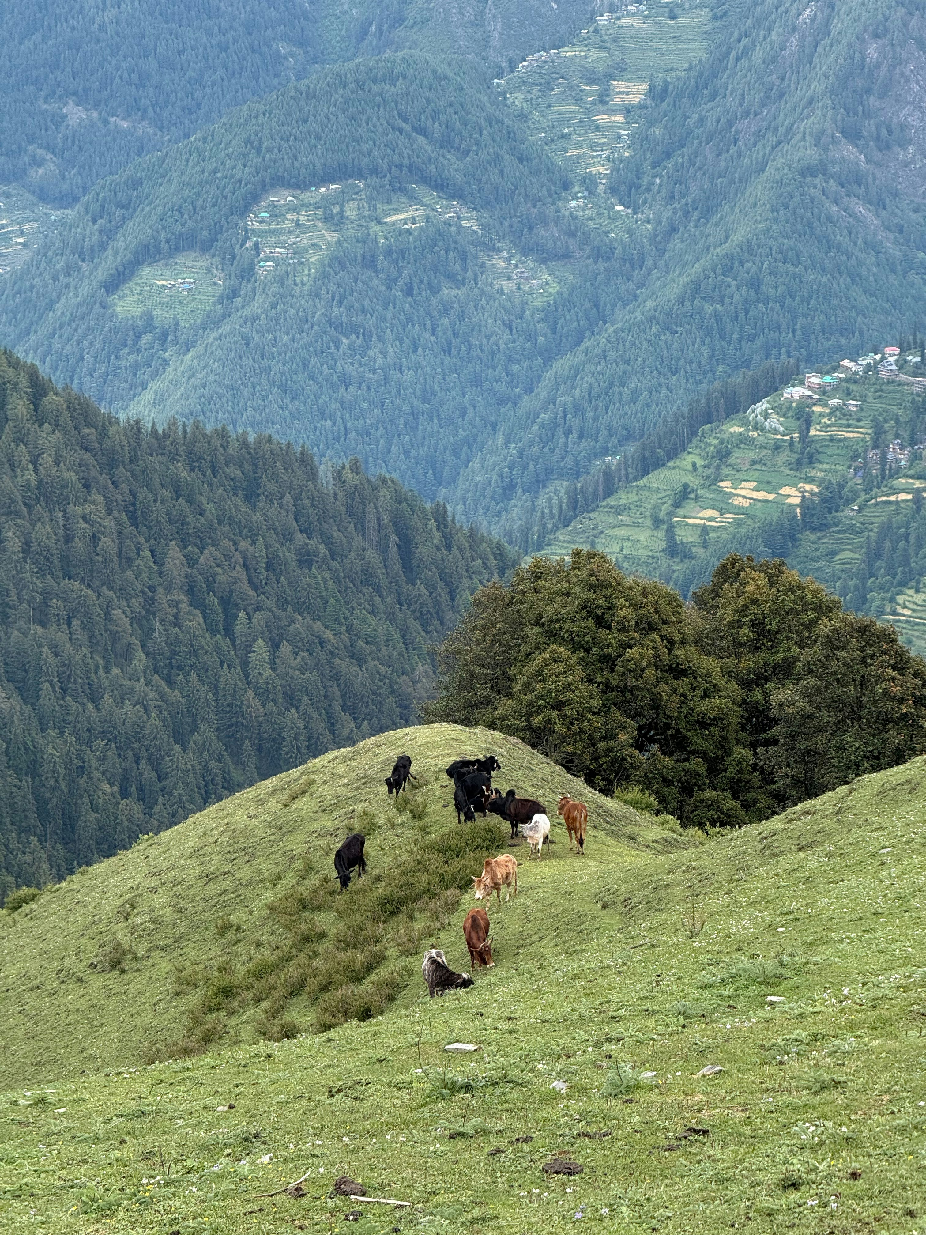 Photo by kartikays7