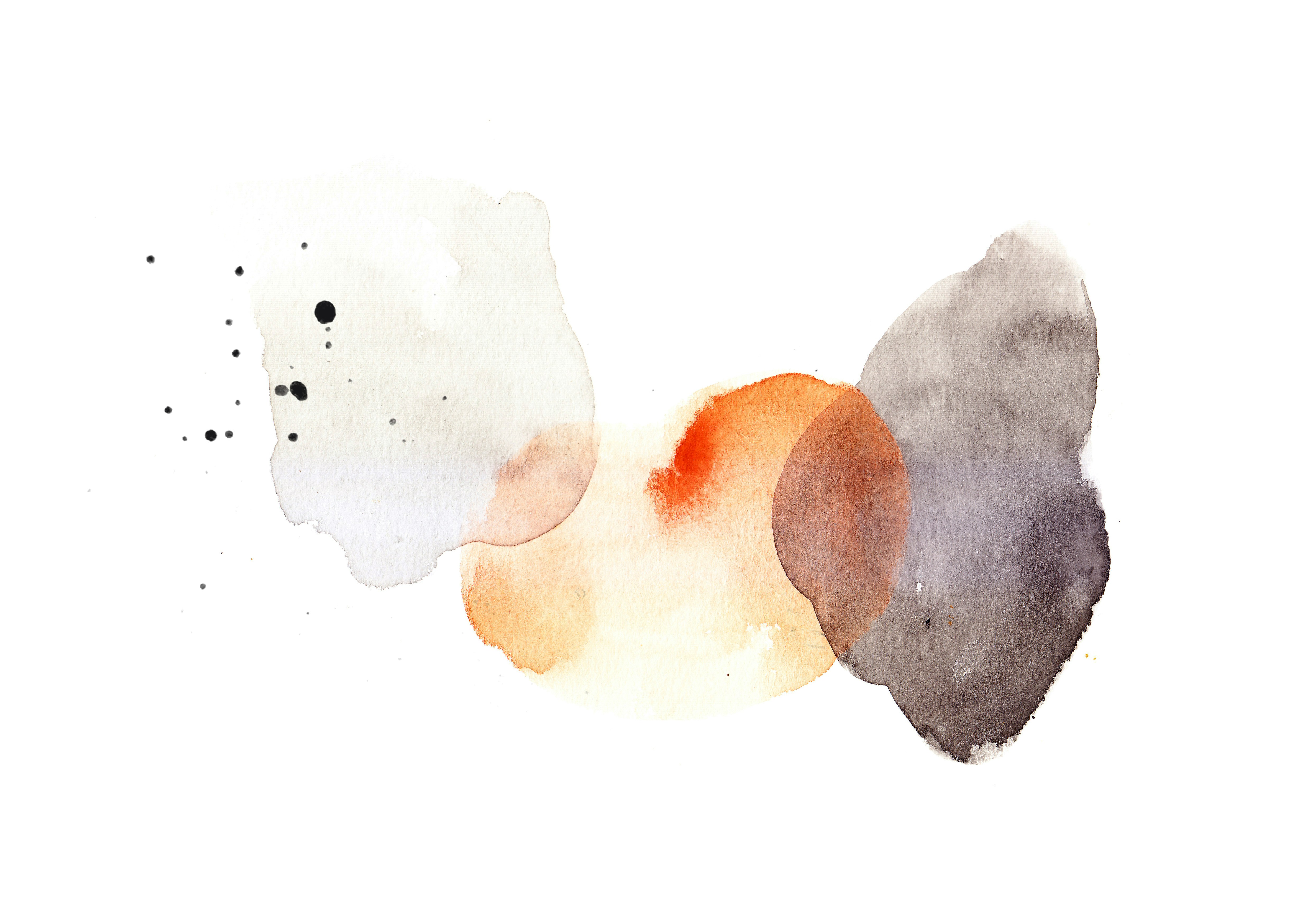 Freedom! What is it?