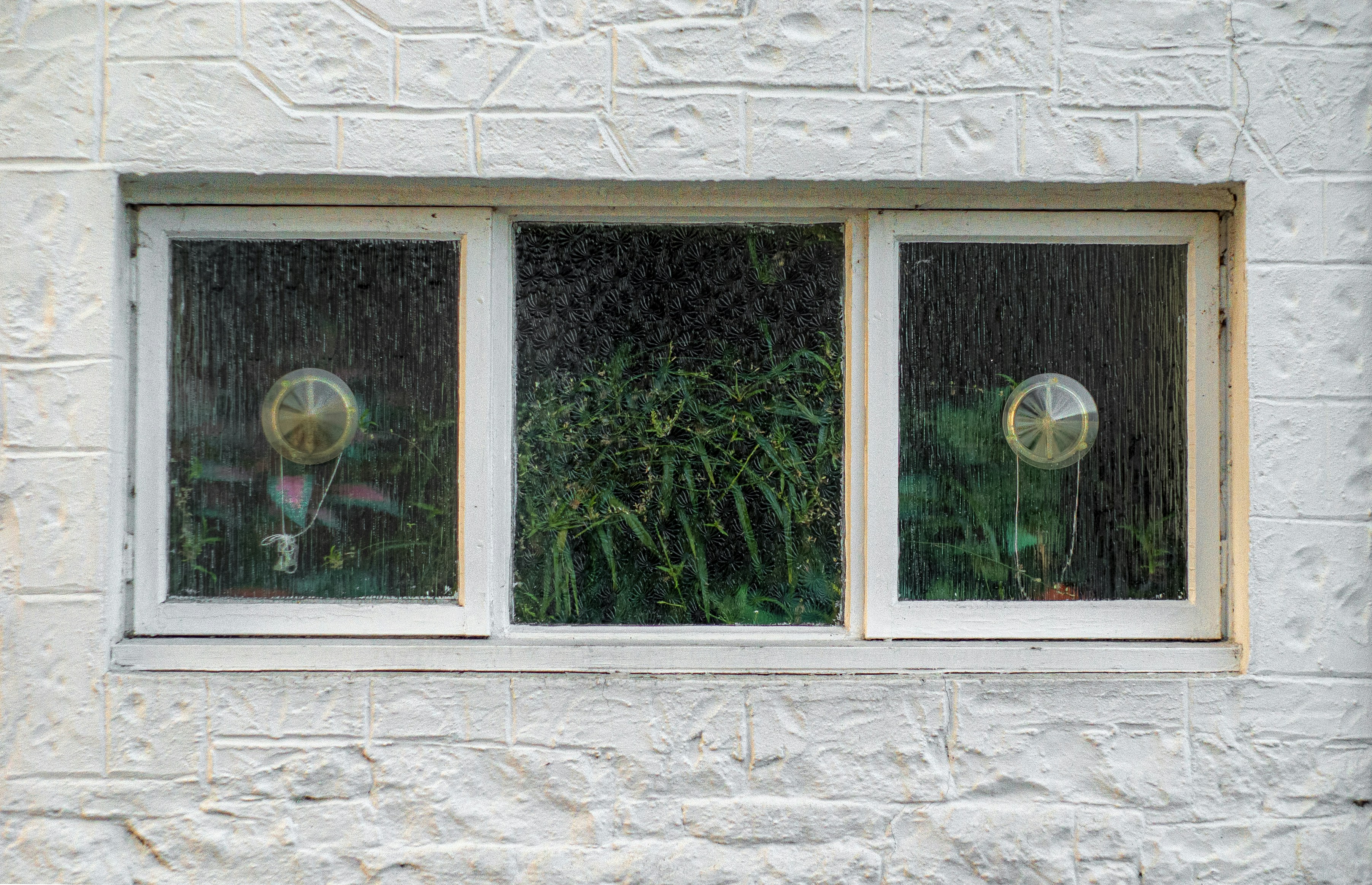 Three windows with glass globes and greenery