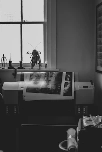 Printer with artwork near a window