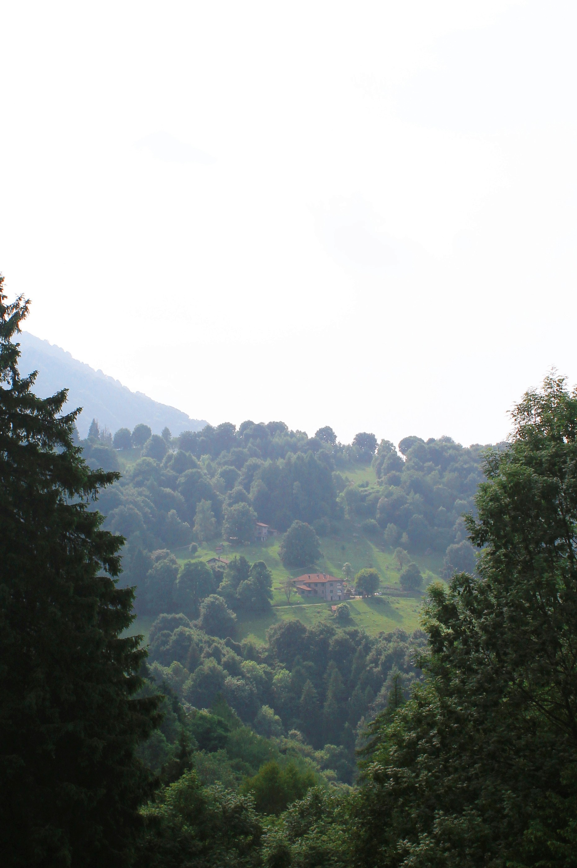 Photo by yaramacchado