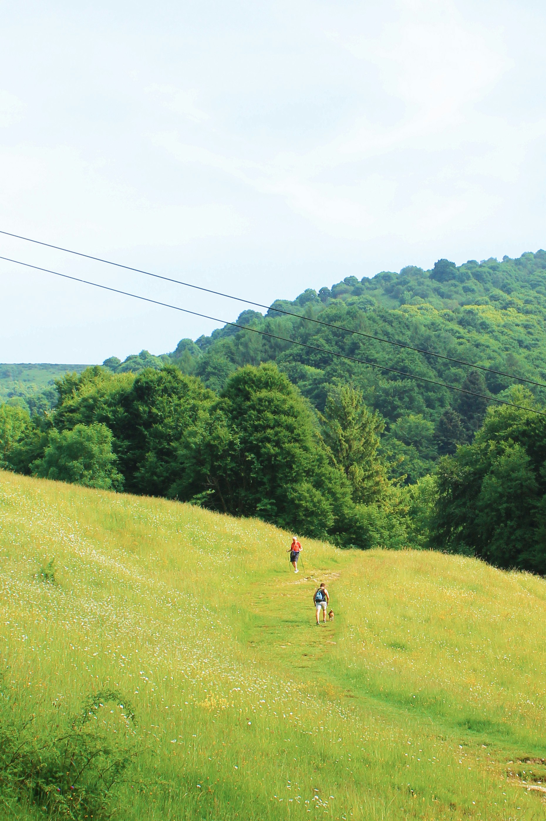 Photo by yaramacchado