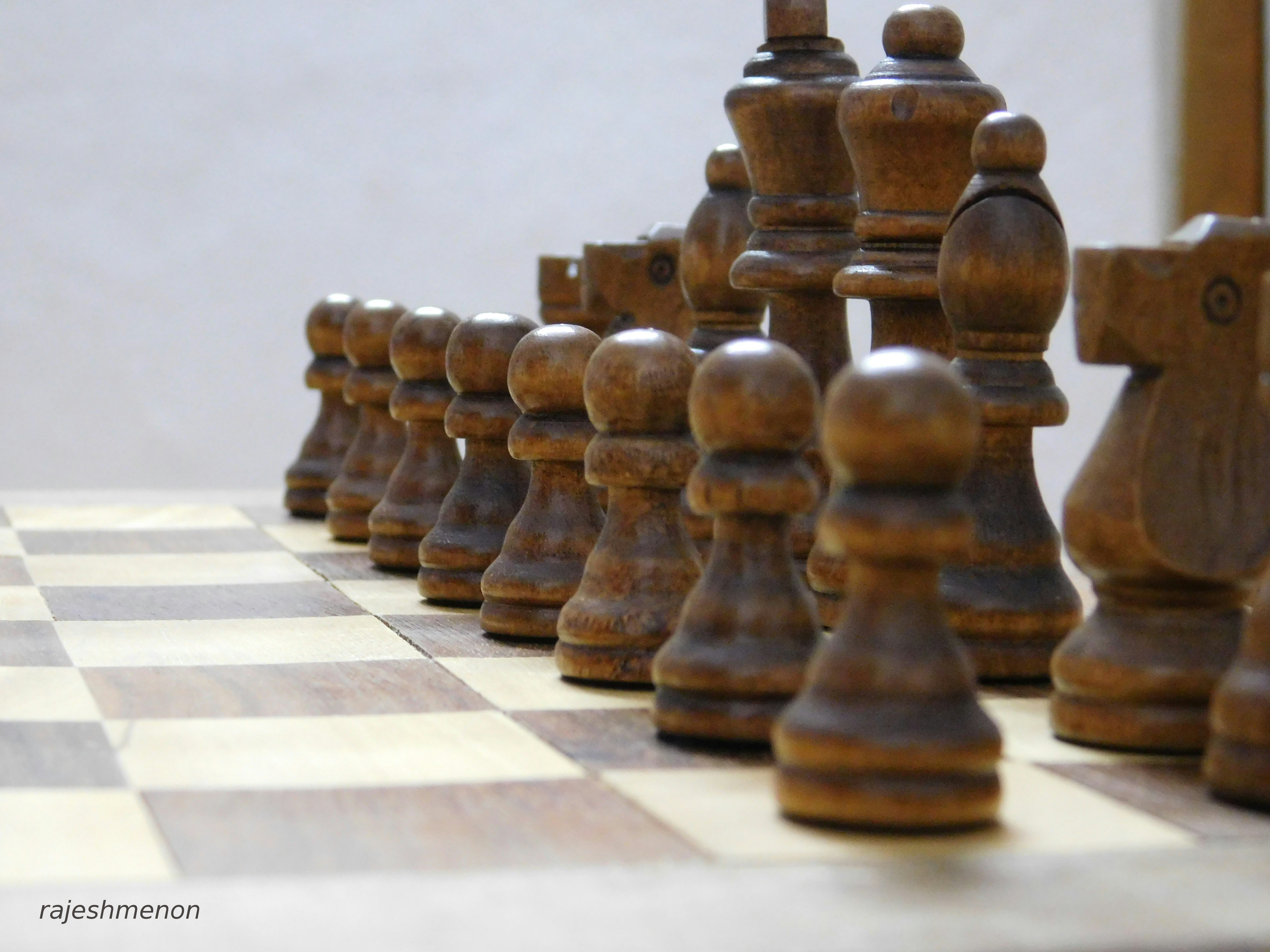 Wooden chess pieces lined up on a chessboard