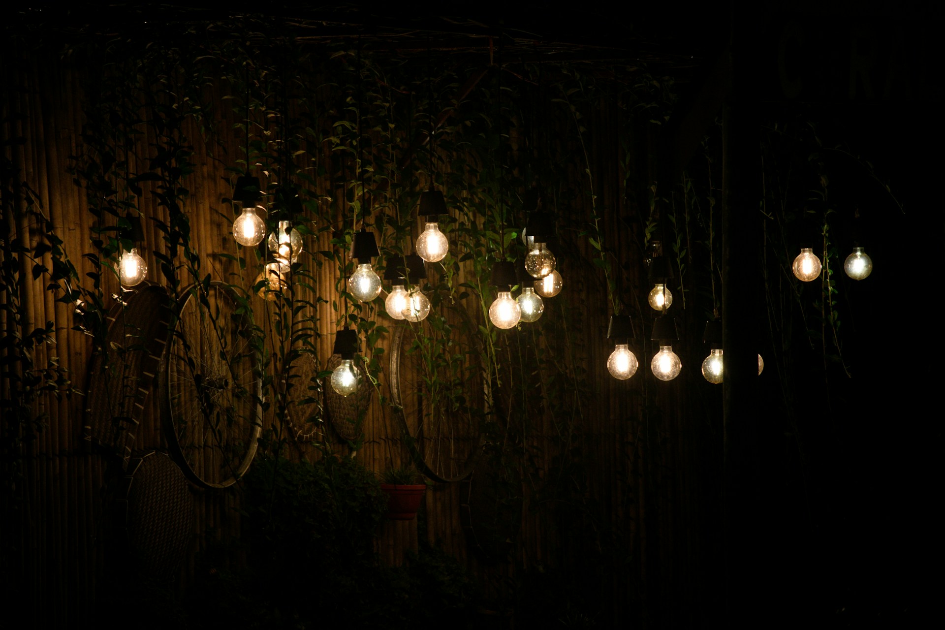 Hanging edison bulbs illuminate a dark, vine-covered wall.