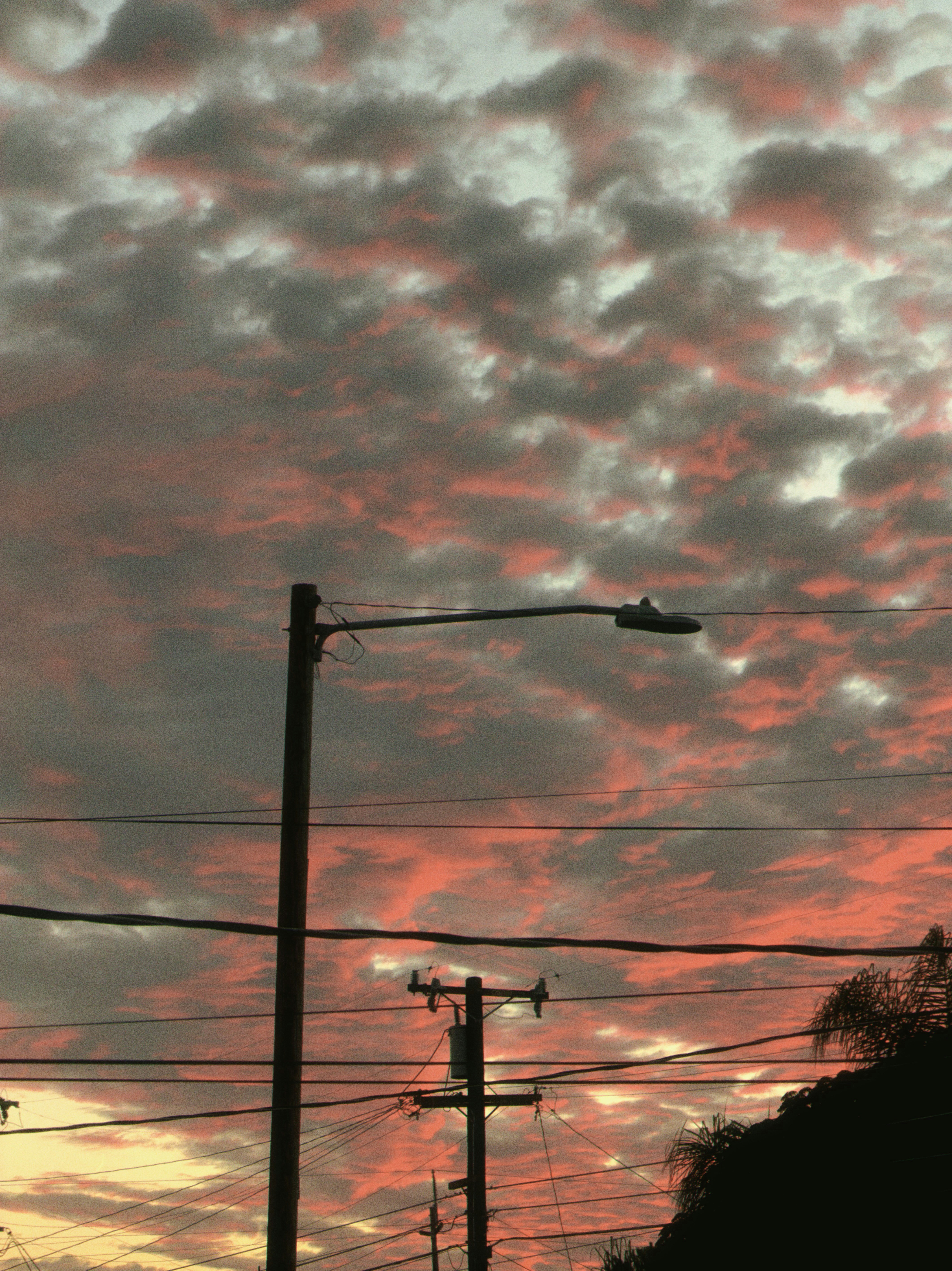 Photo by ninjason