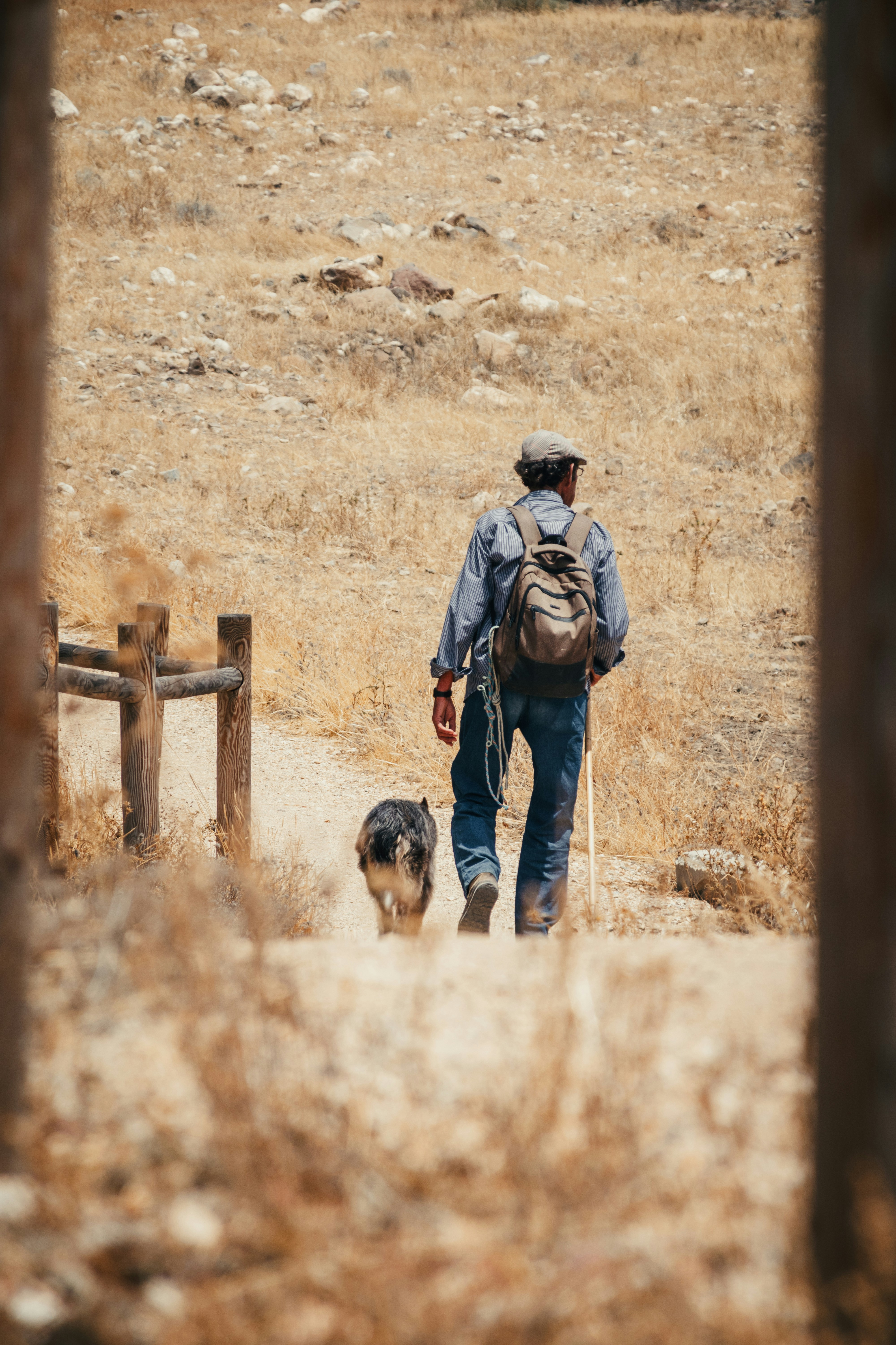 Homem com cachorro andando em um caminho seco e empoeirado.