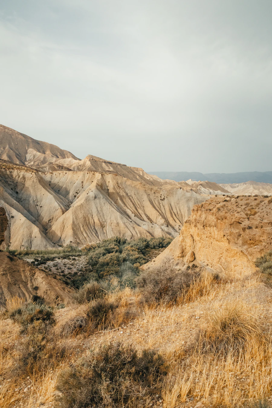 An arid desert landscape with dry brush and eroded hills
