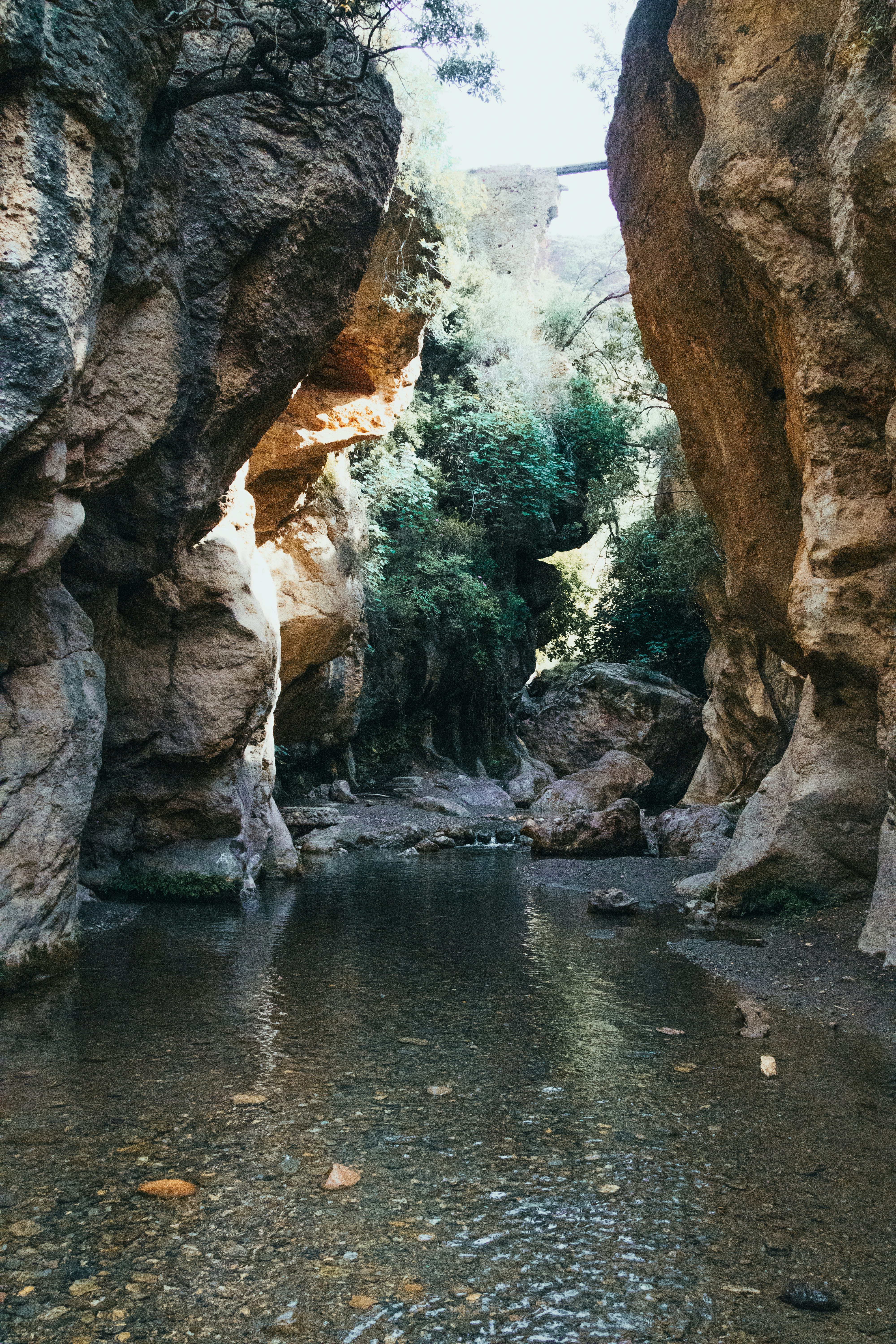 Um desfiladeiro estreito com um riacho raso e árvores exuberantes.