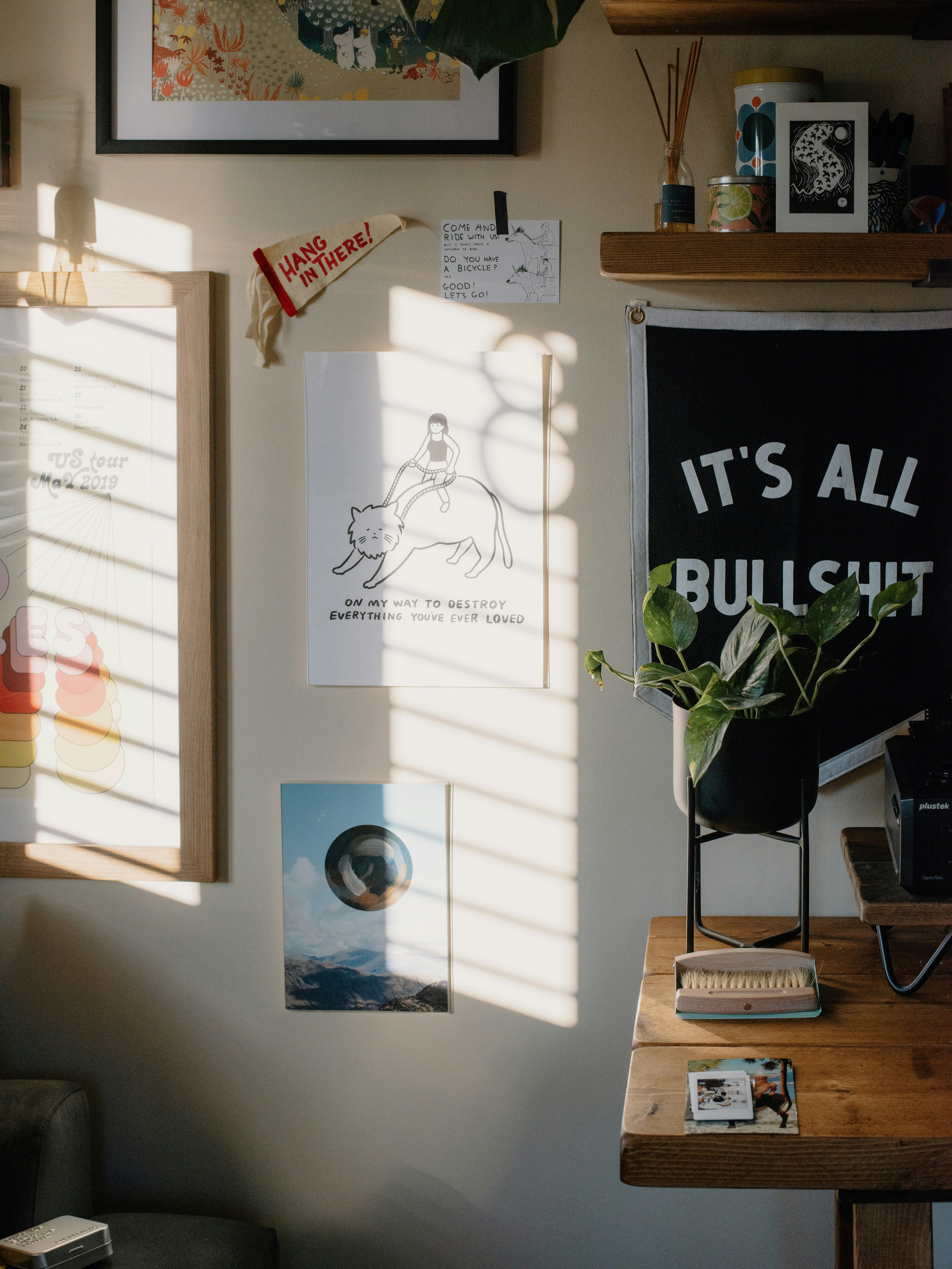 Wall with art, plants, and sunlight patterns.