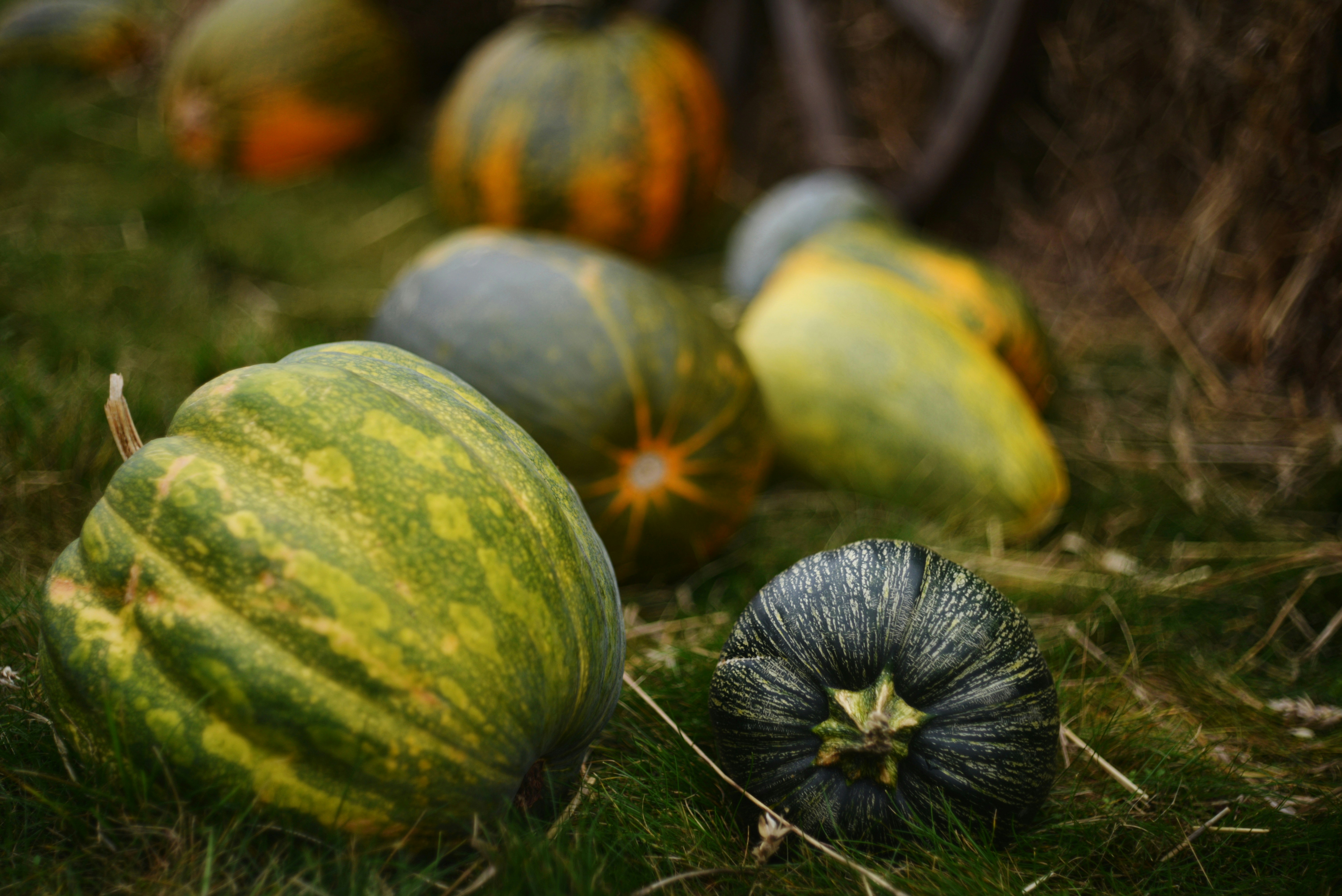 Photo by cherstve_pechivo