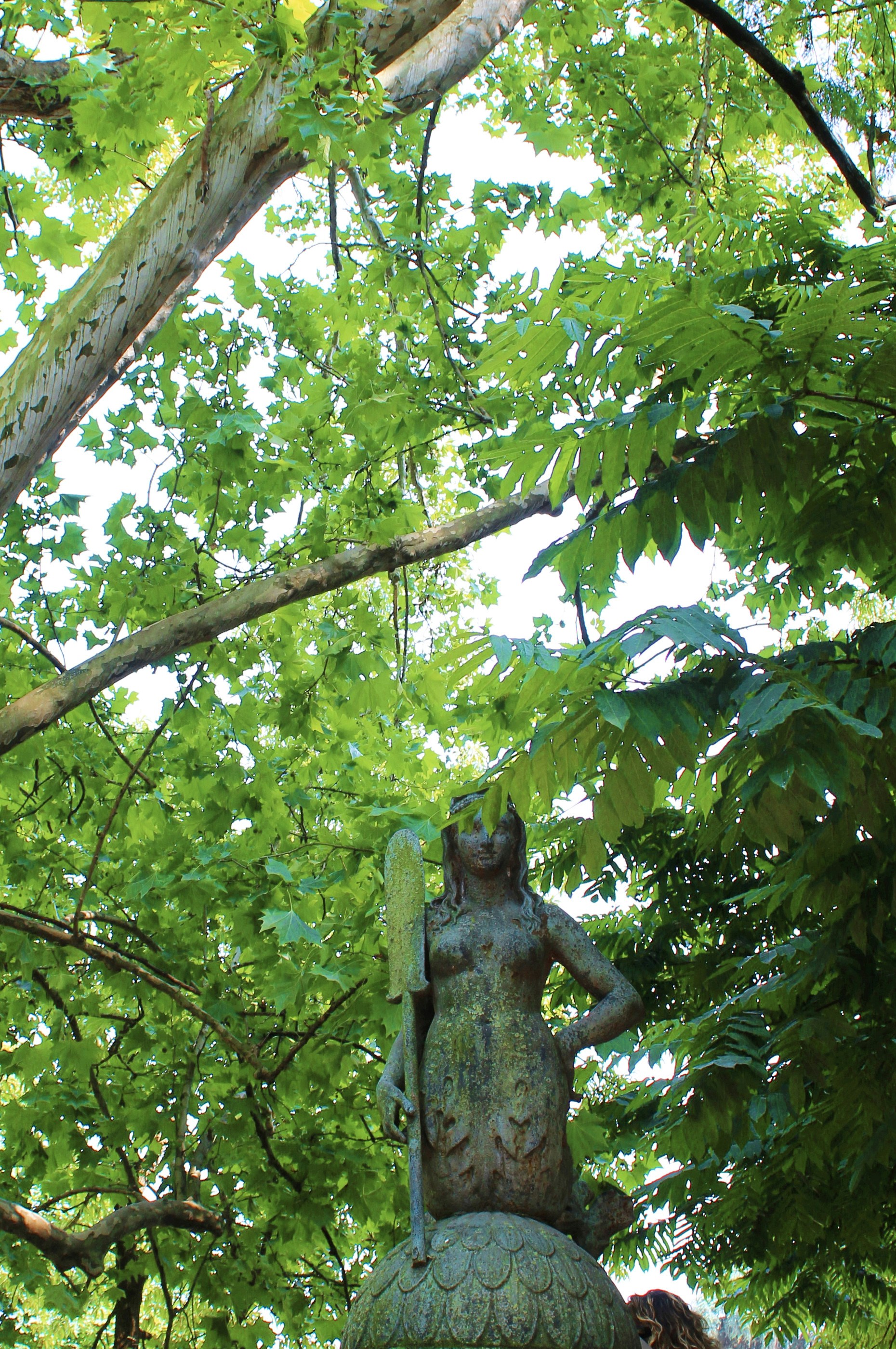 Photo by yaramacchado