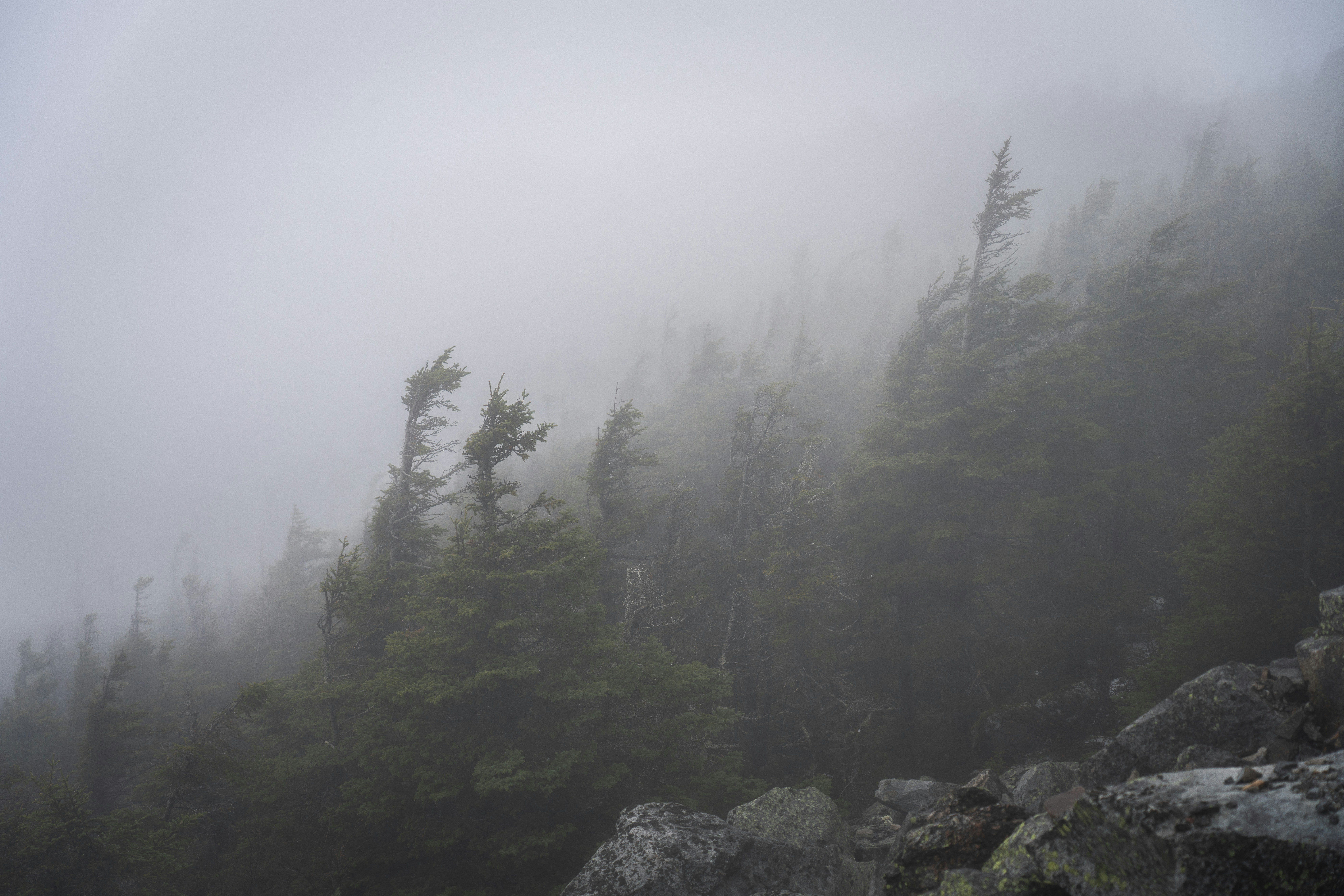 Photo by intricateexplorer