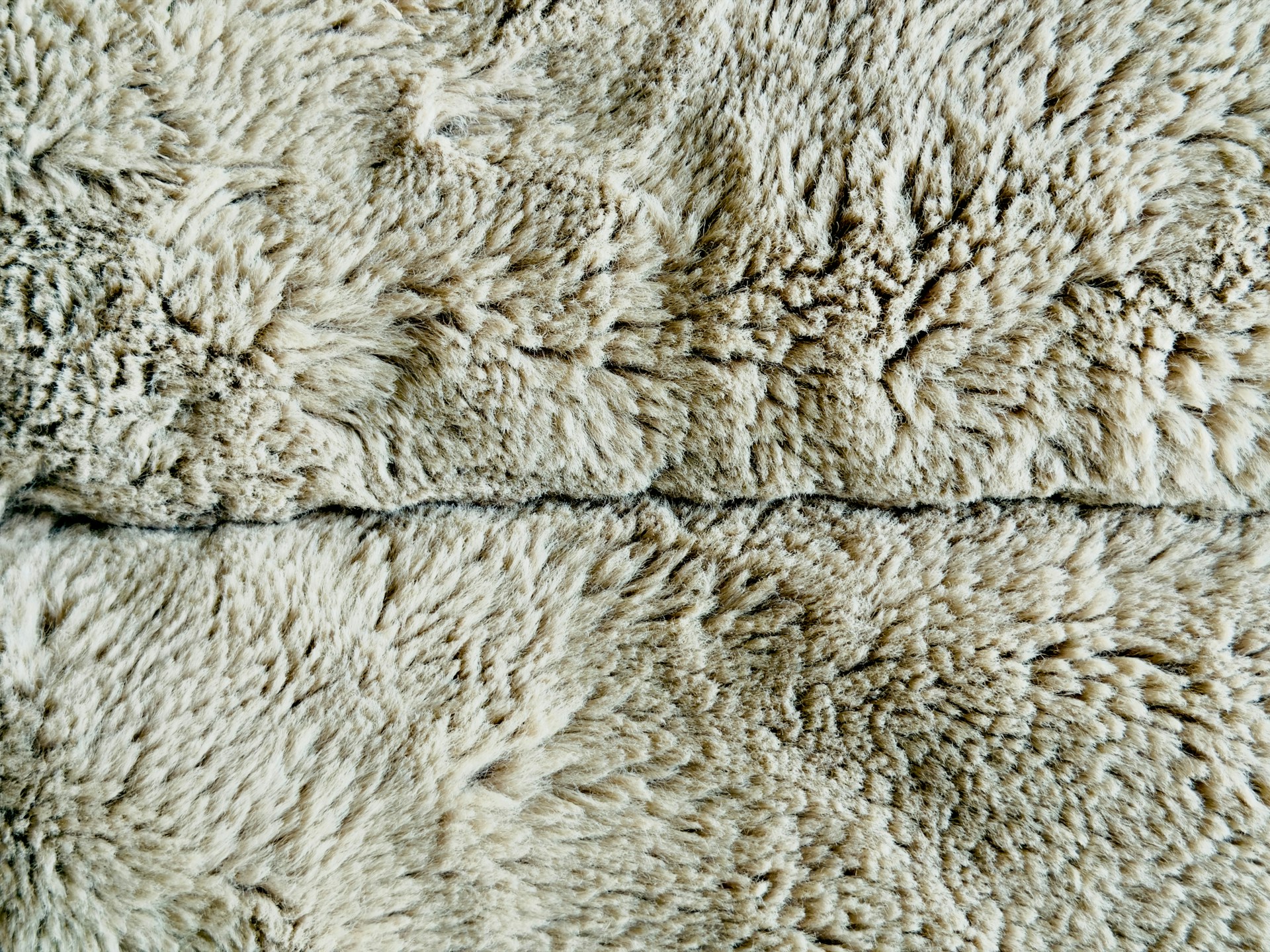 Close-up of textured beige fuzzy fabric