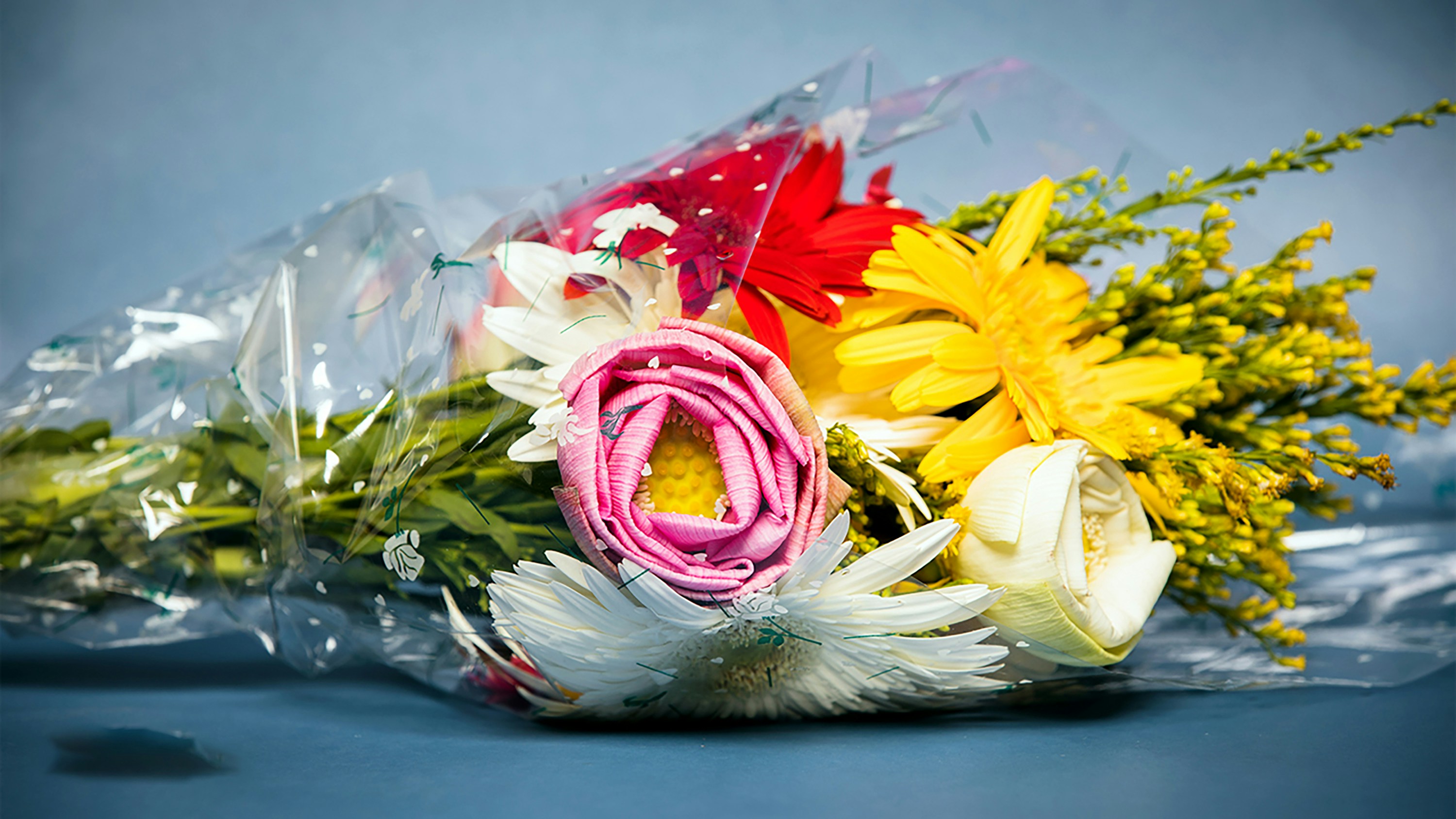 A bouquet of colorful flowers wrapped in plastic.