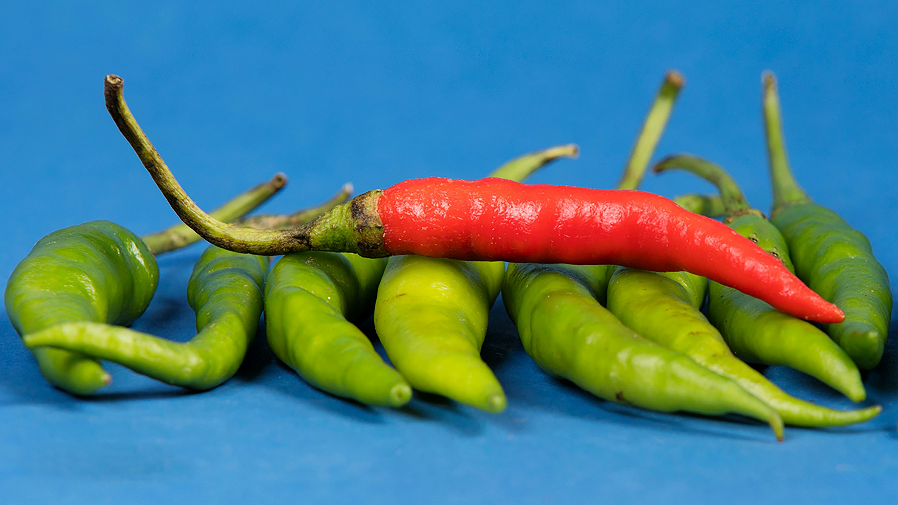 Red chili pepper rests on green peppers