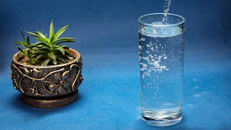 Water pouring into a glass next to a potted plant