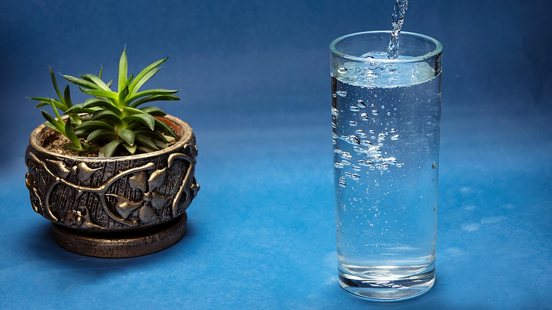 Orchideenerde vs normale erde warum der unterschied wichtig ist: practical guide overview