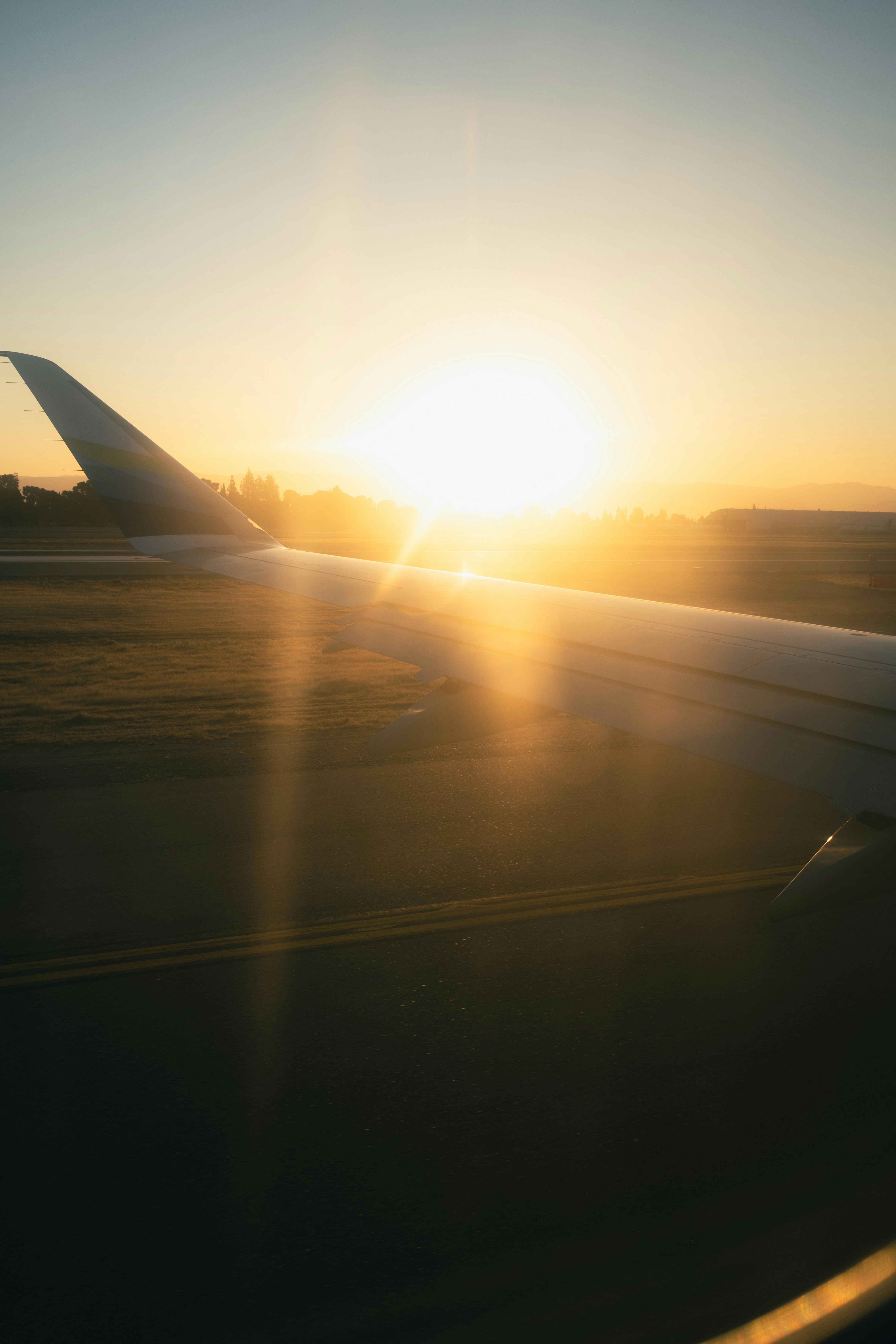 Photo by meanwhileinsandiego