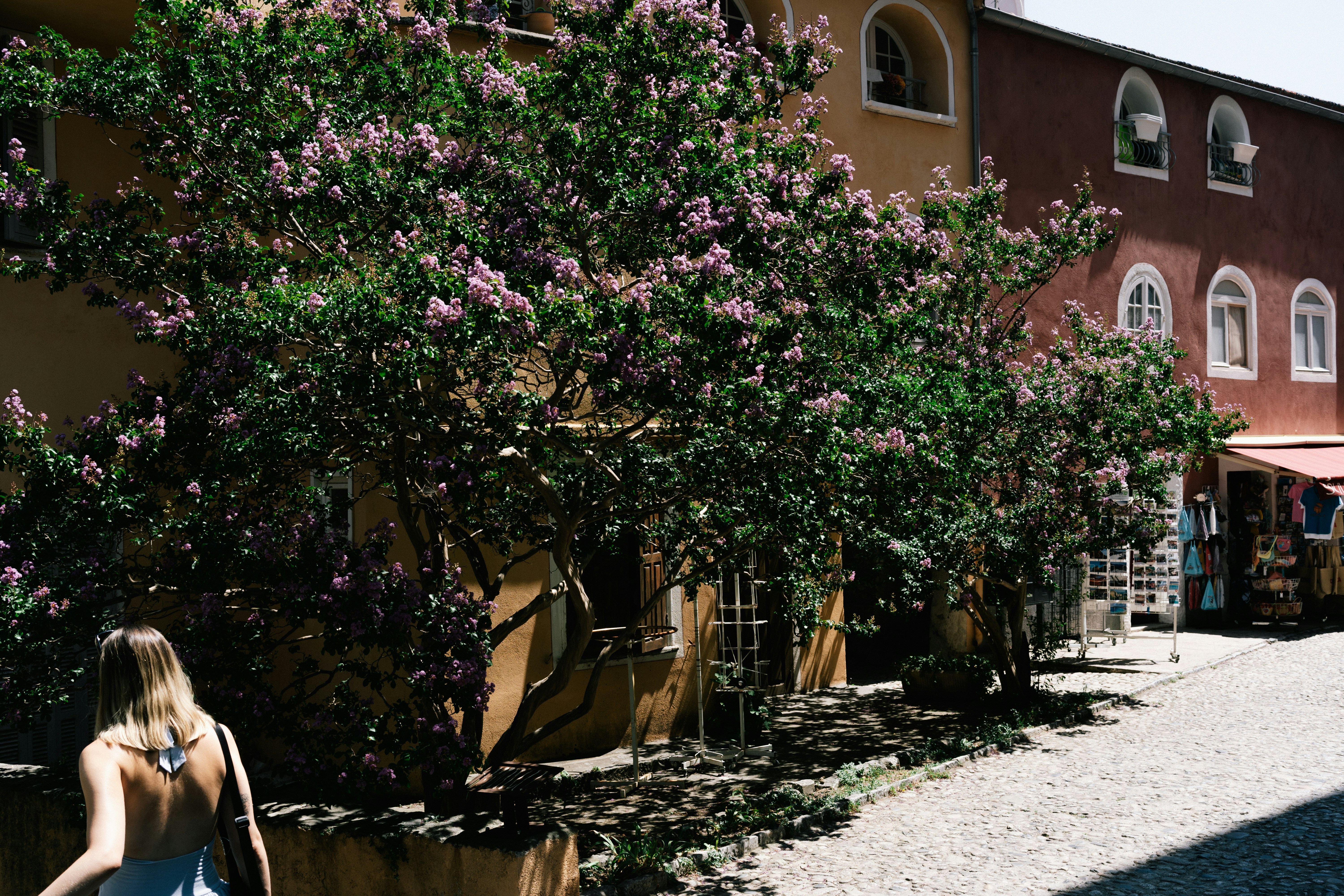 Photo by fabianbaechli