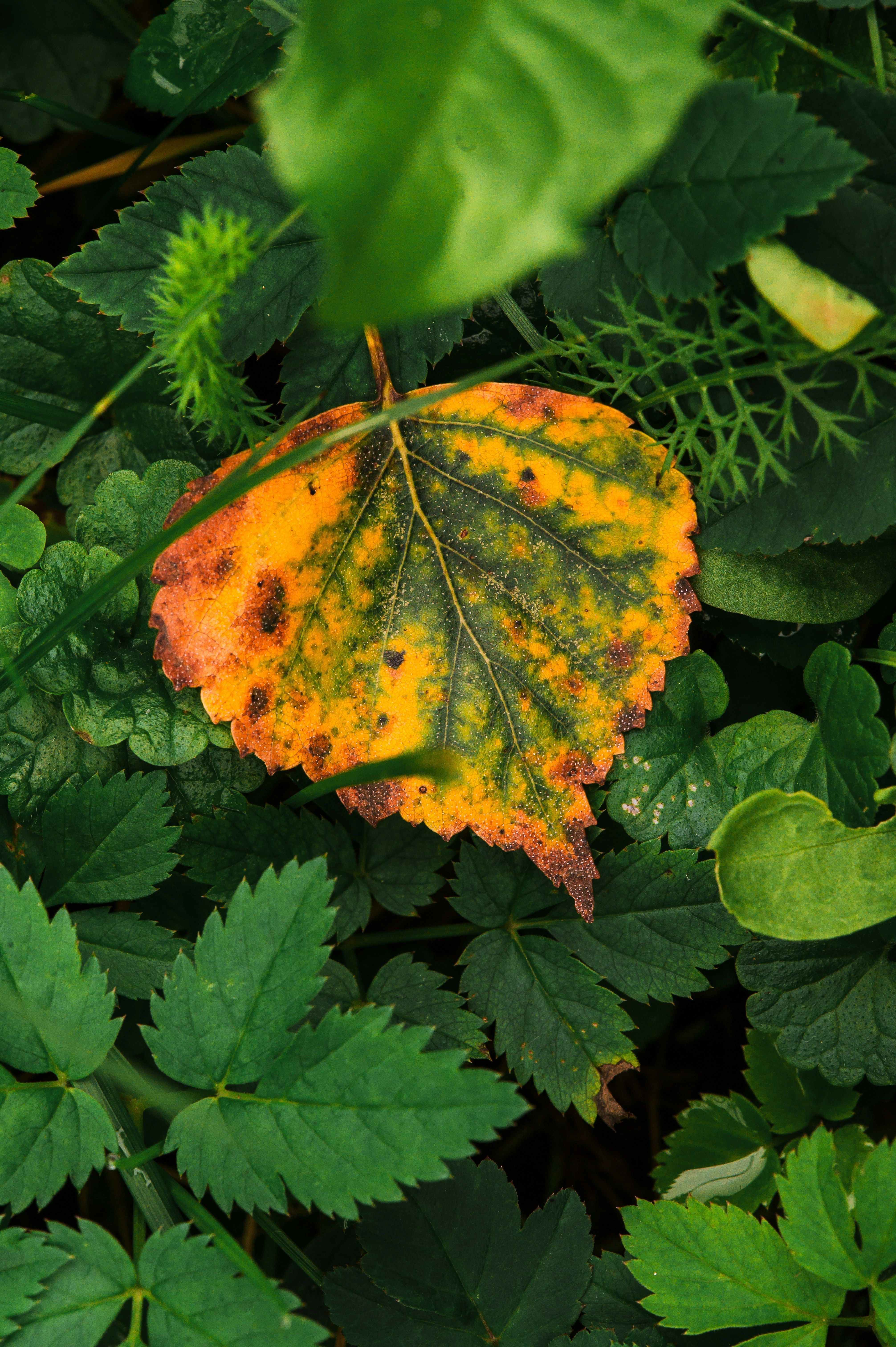 Photo by christina_kozak