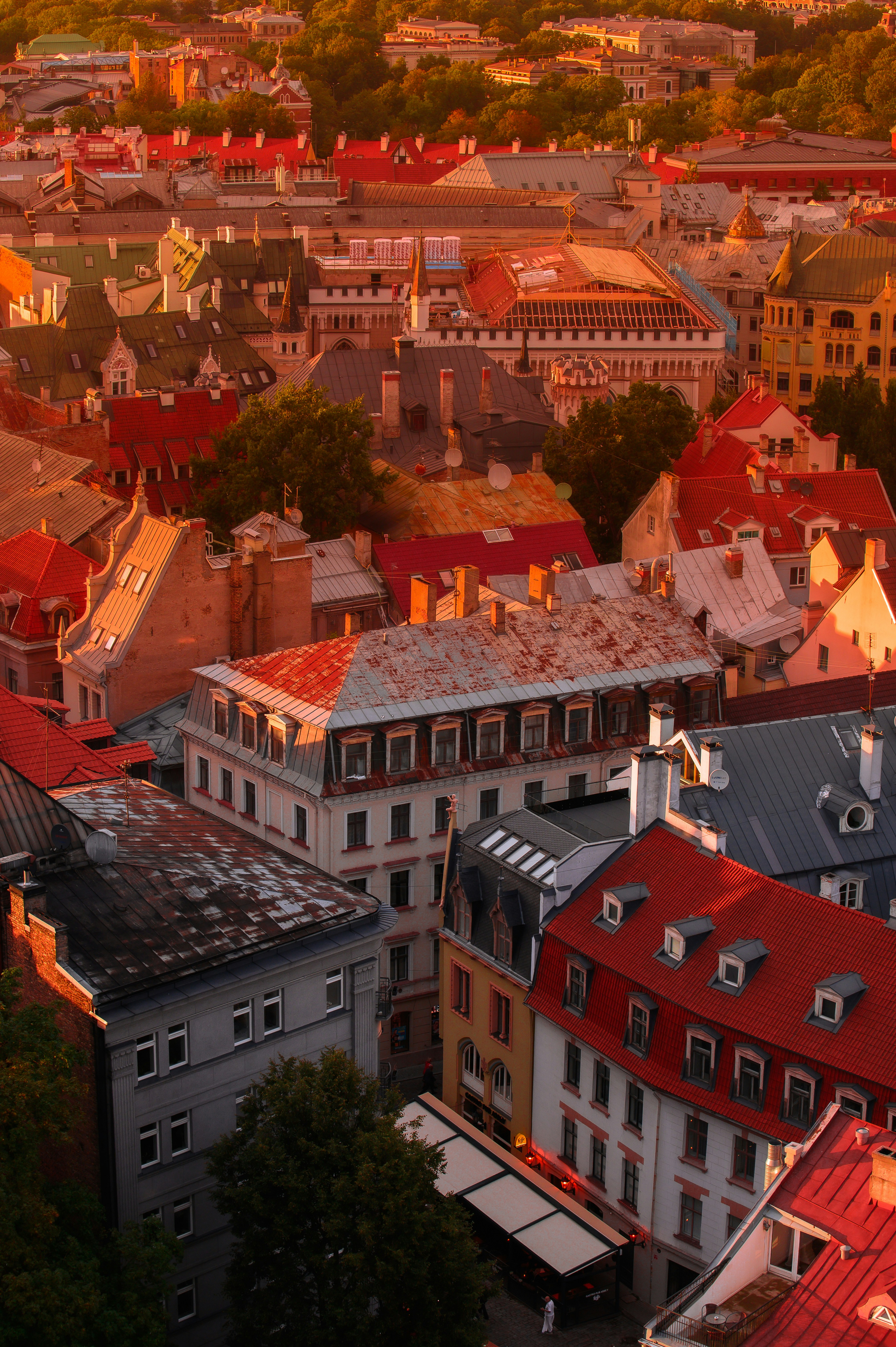 Photo by christina_kozak