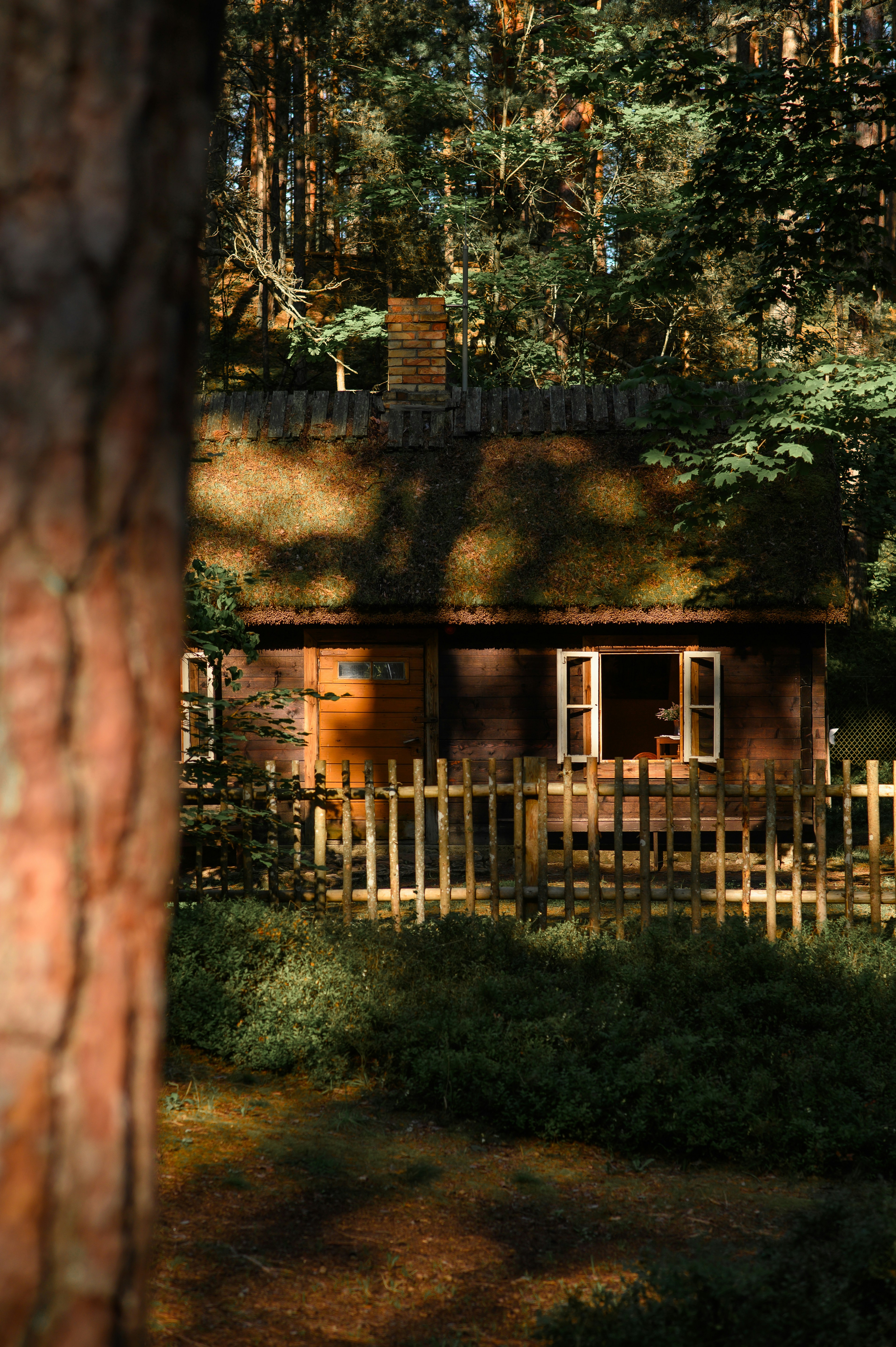 Photo by christina_kozak