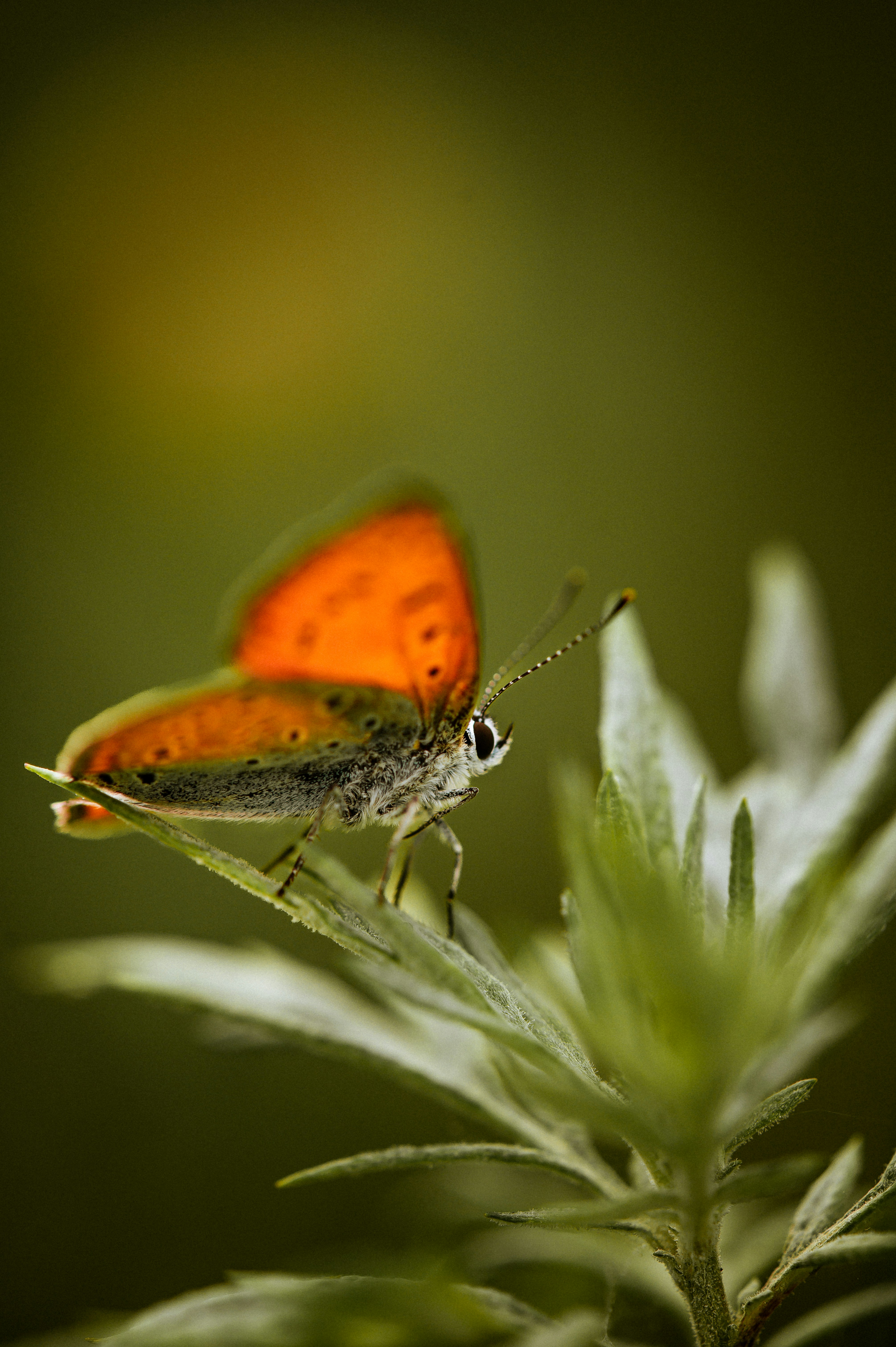 Photo by christina_kozak