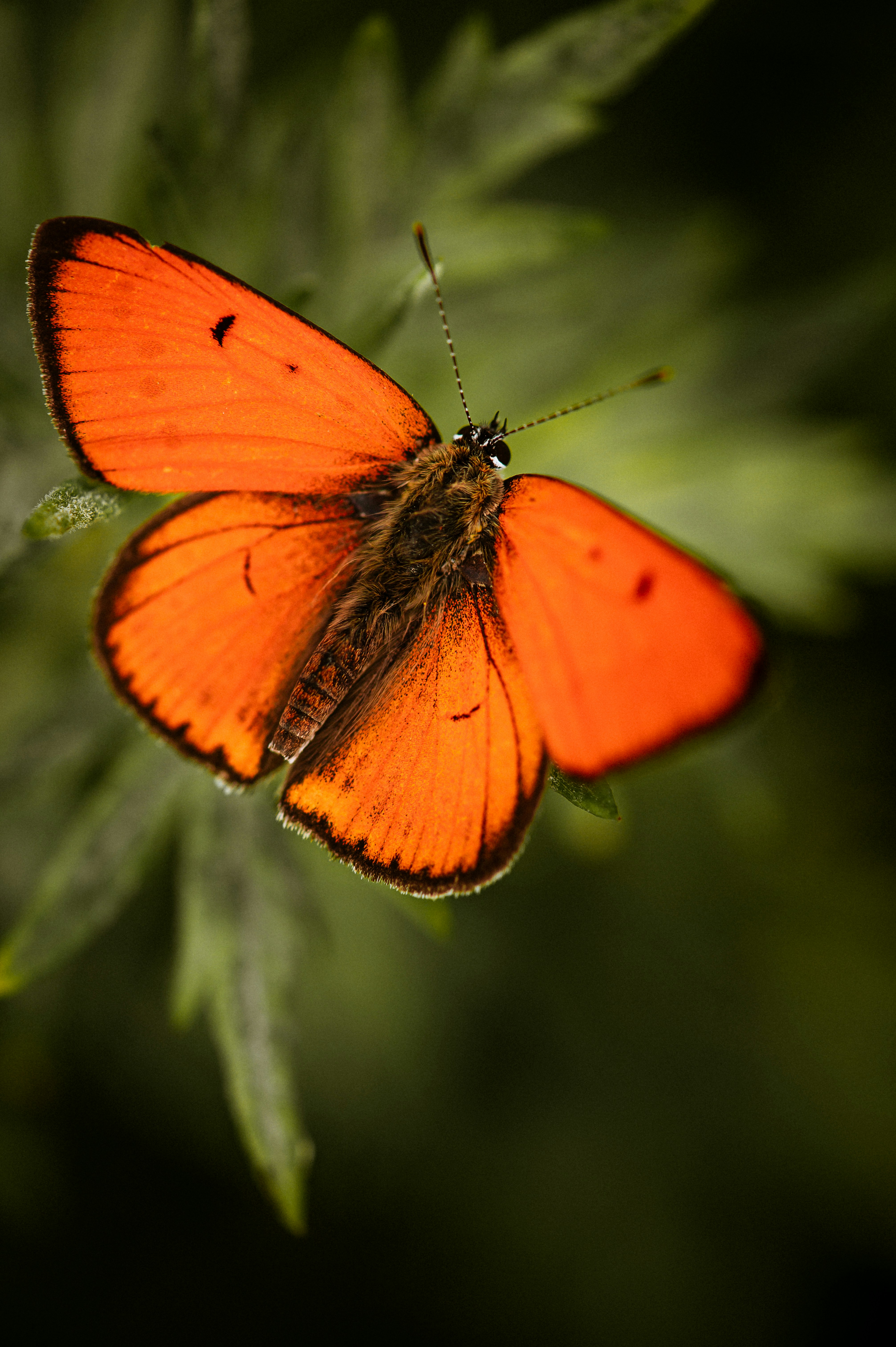 Photo by christina_kozak