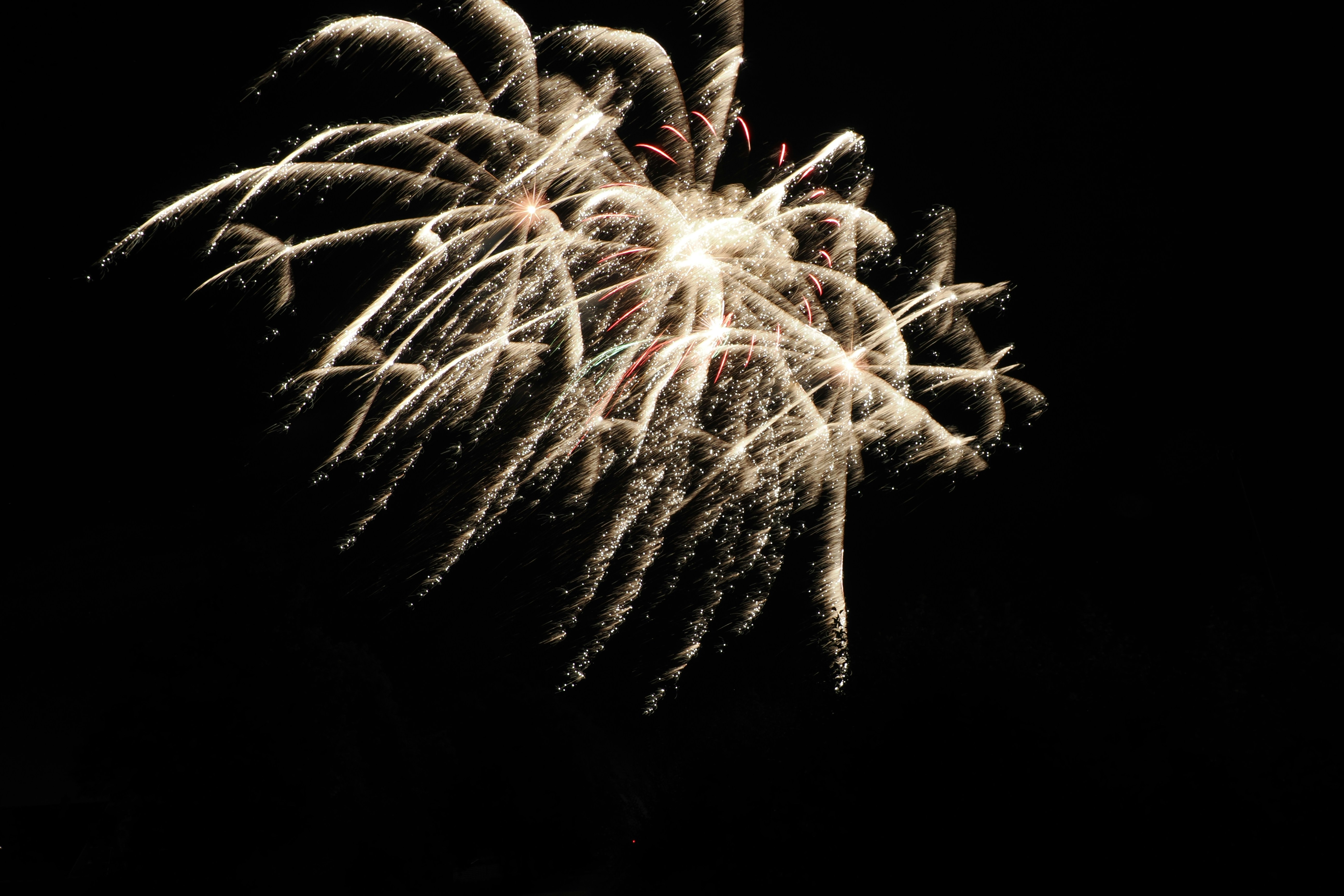 Photo by fotografie_thomas_nolte