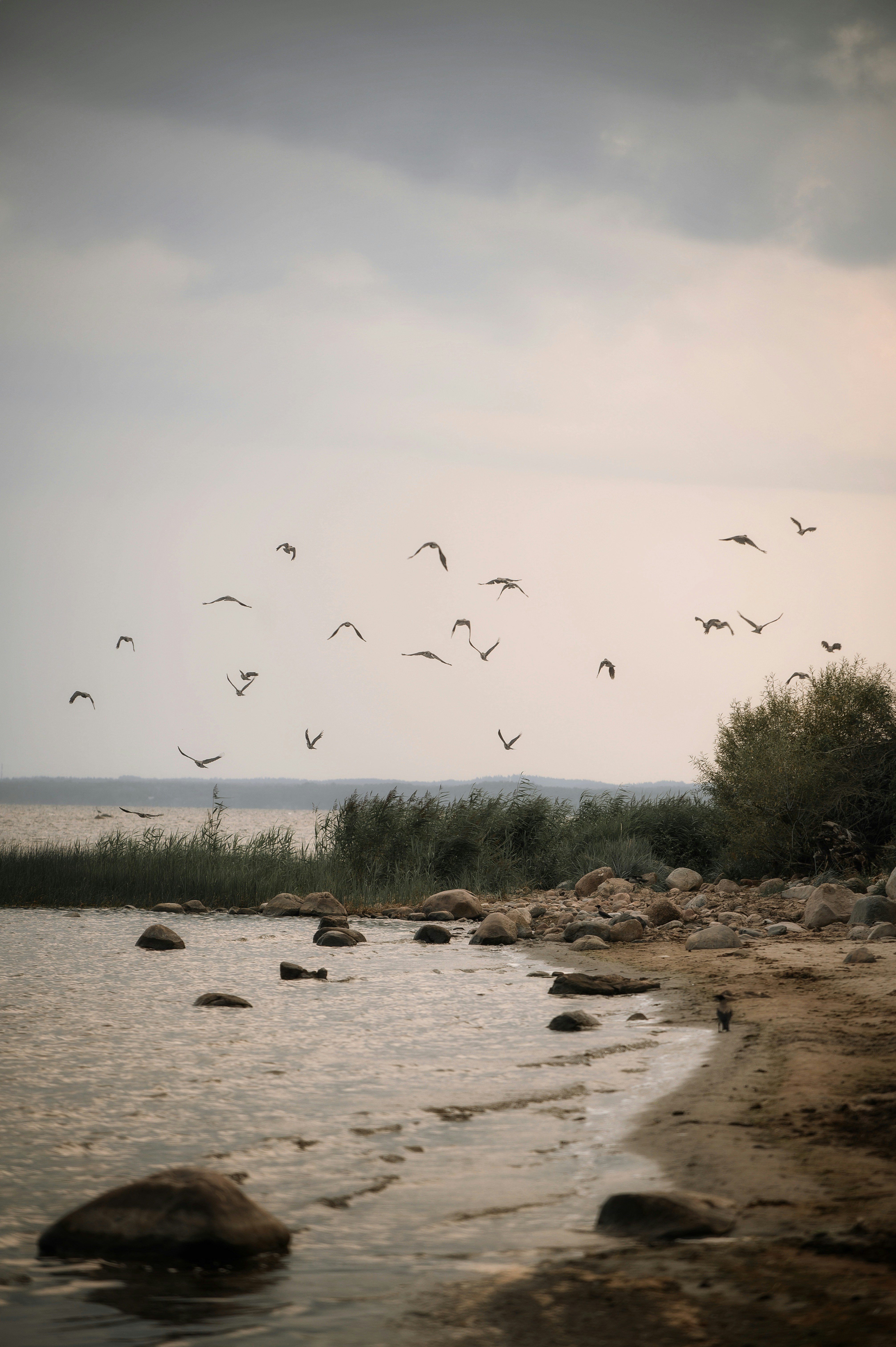 Photo by christina_kozak