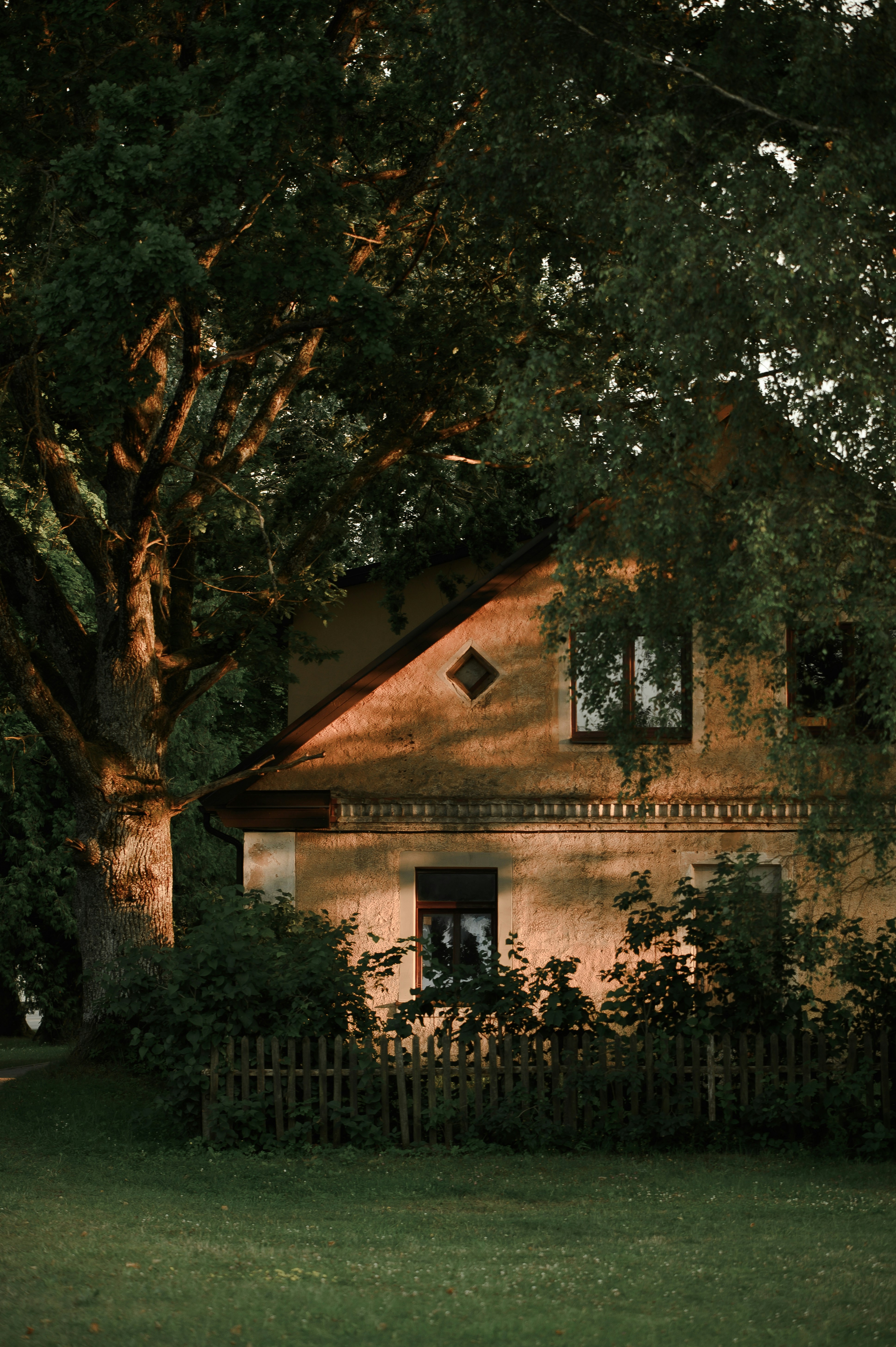 Photo by christina_kozak