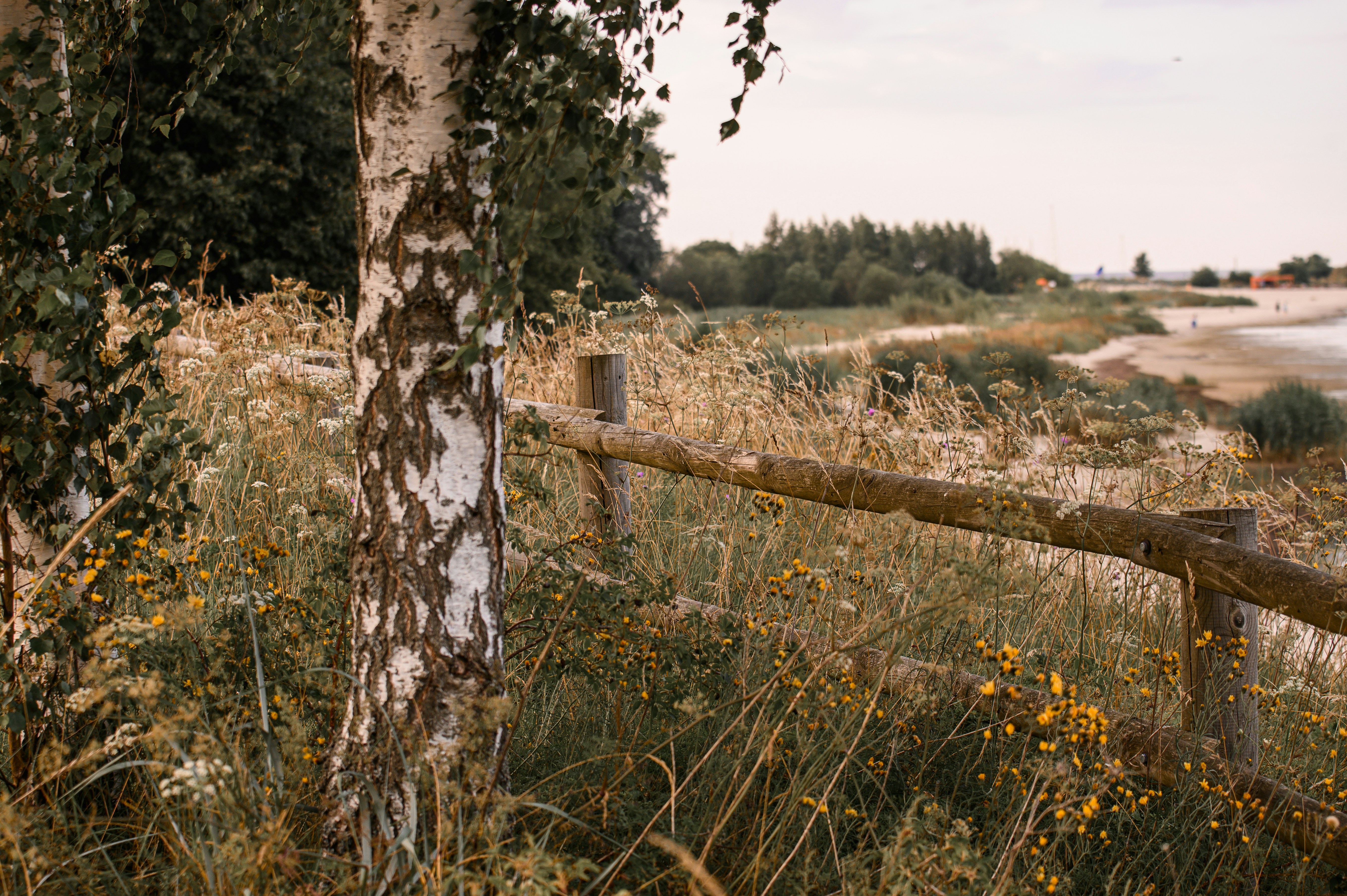 Photo by christina_kozak