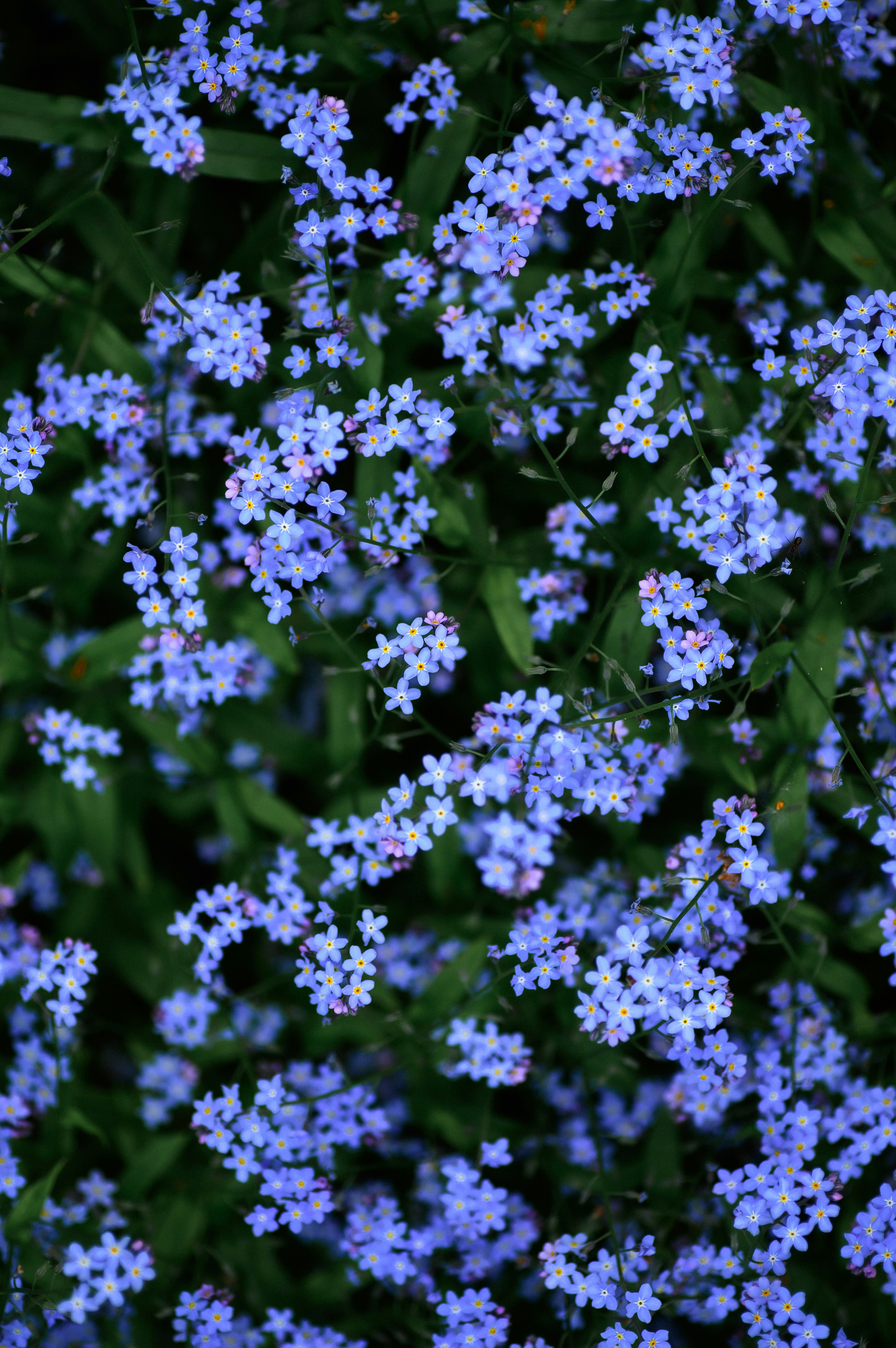 Photo by christina_kozak