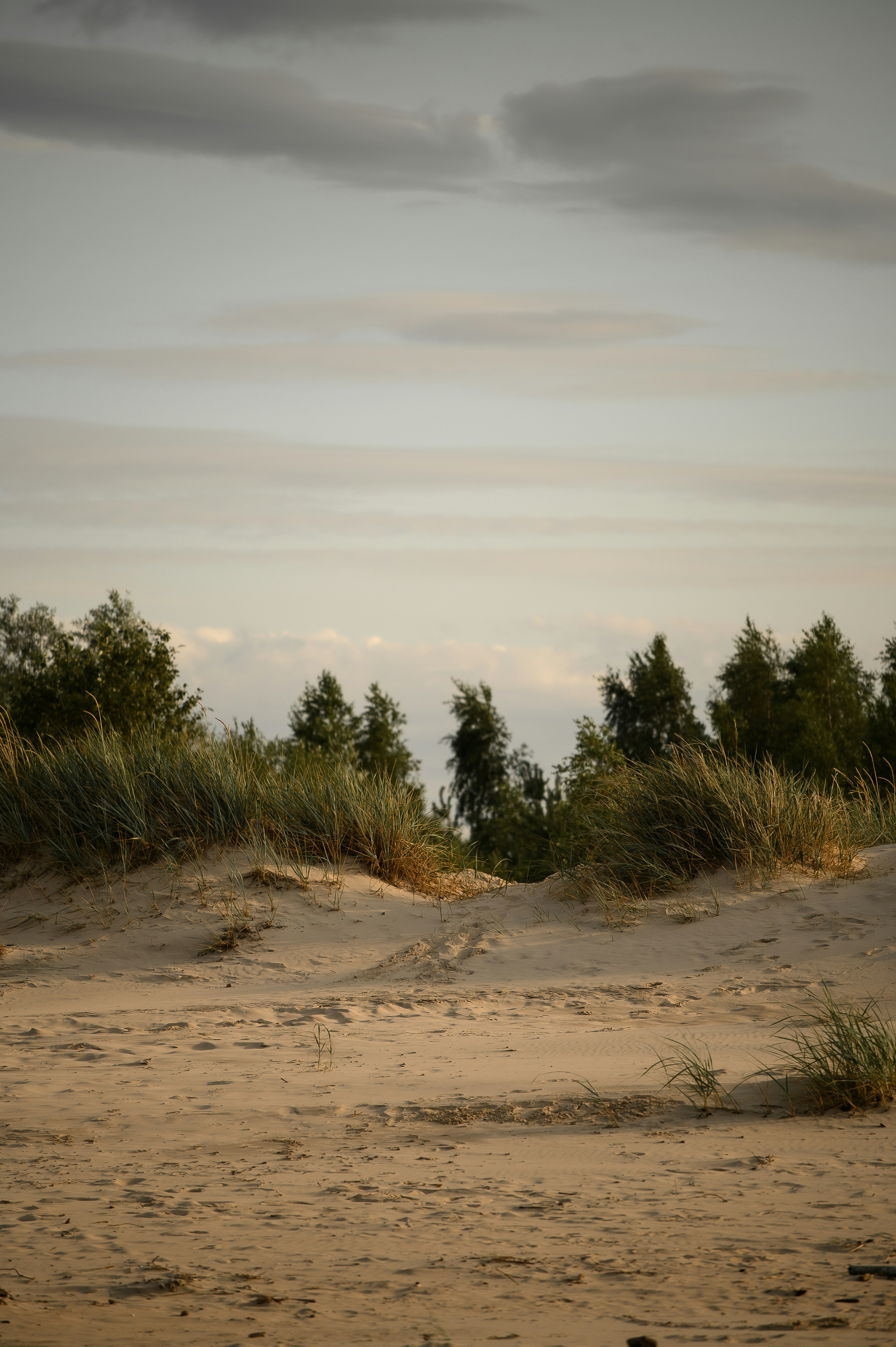 Photo by christina_kozak