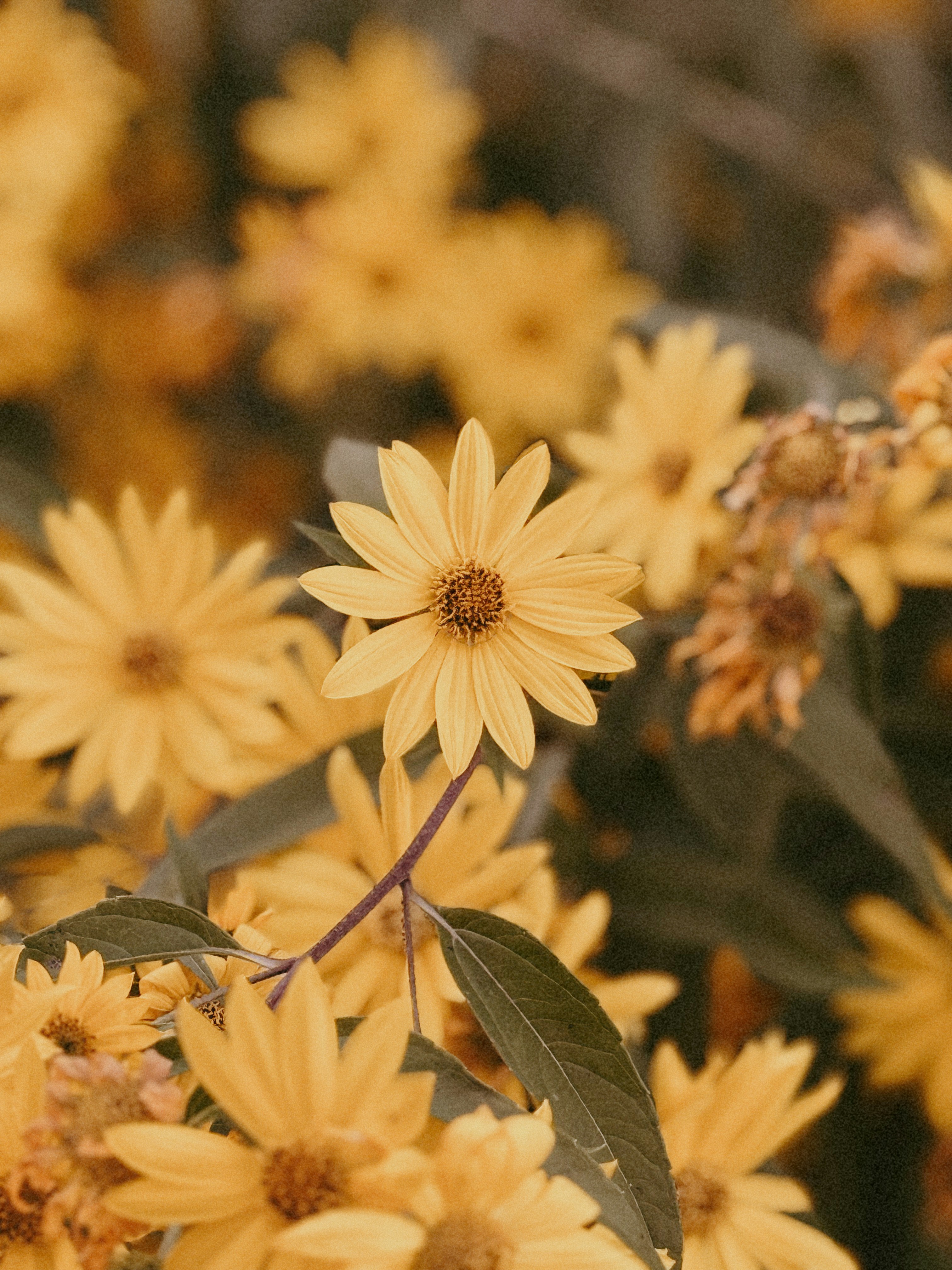 Photo by christiananderson