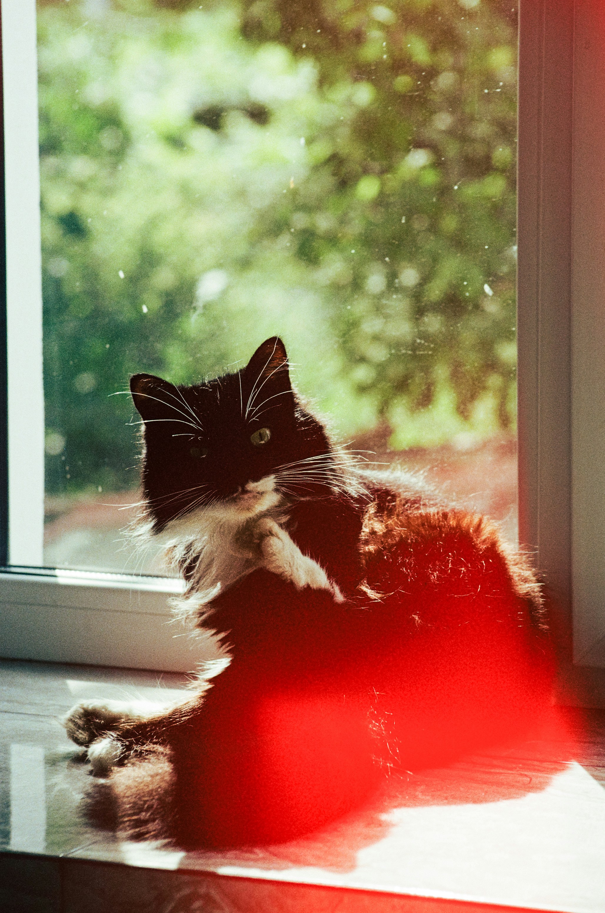 Photo by mineral_of_demon