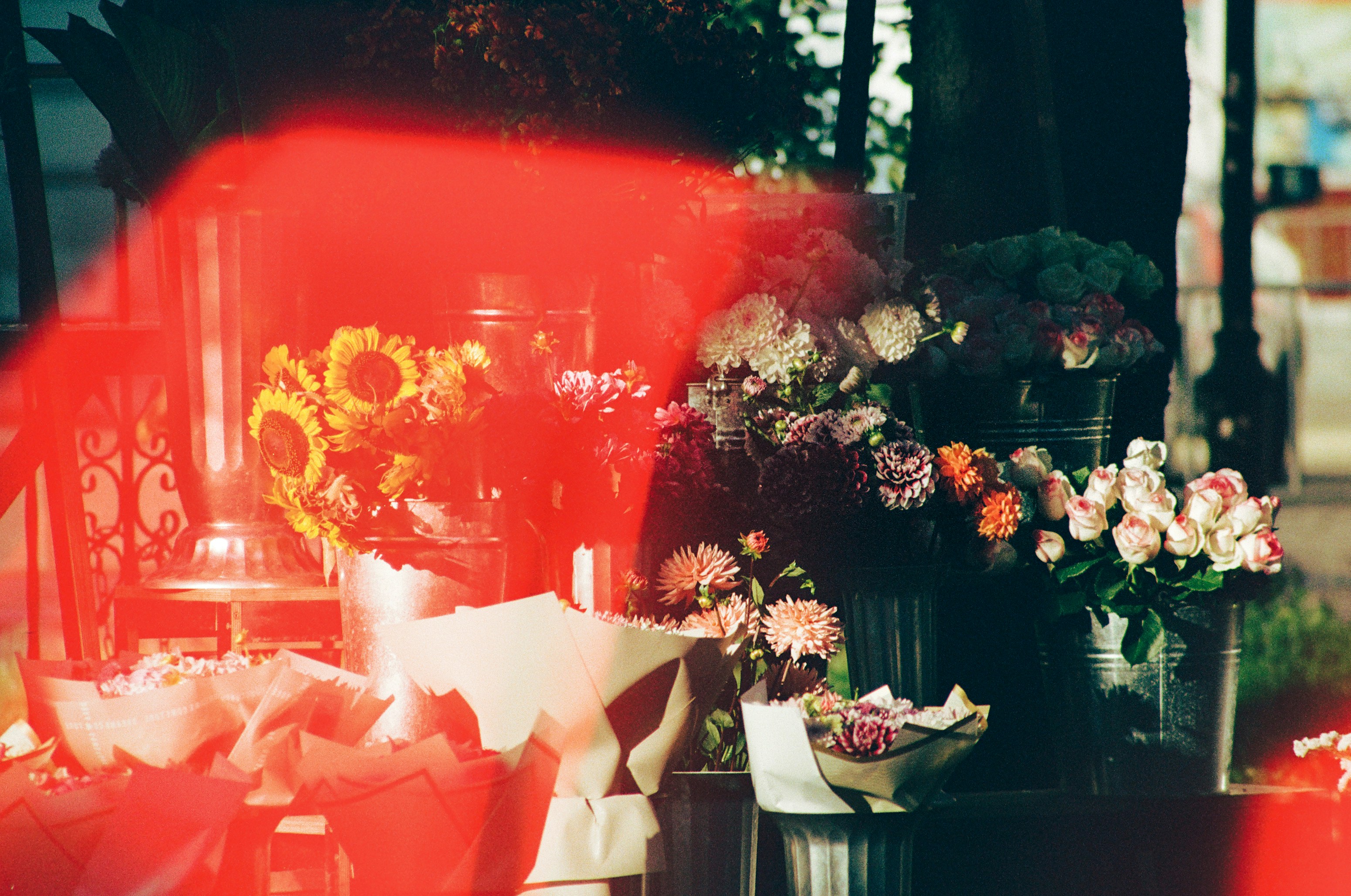 Editor-Approved Exotic Creations: Complete Guide to CITES-Compliant Exotic Leather