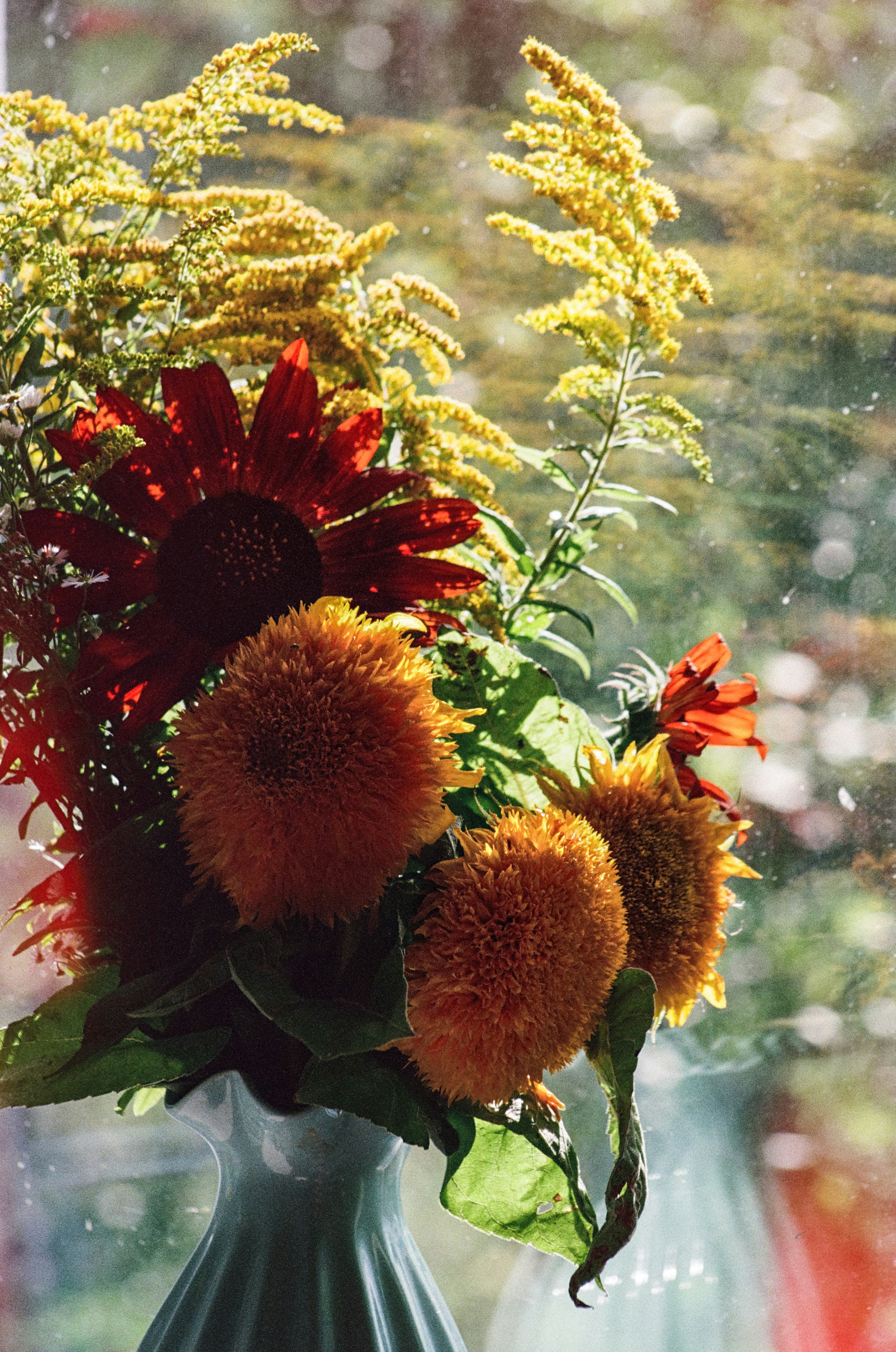 fresh bouquet showing early flower wilting near a bright window
