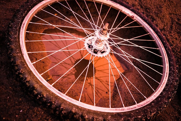 Fietswiel met kleurrijke spaken en profiel
