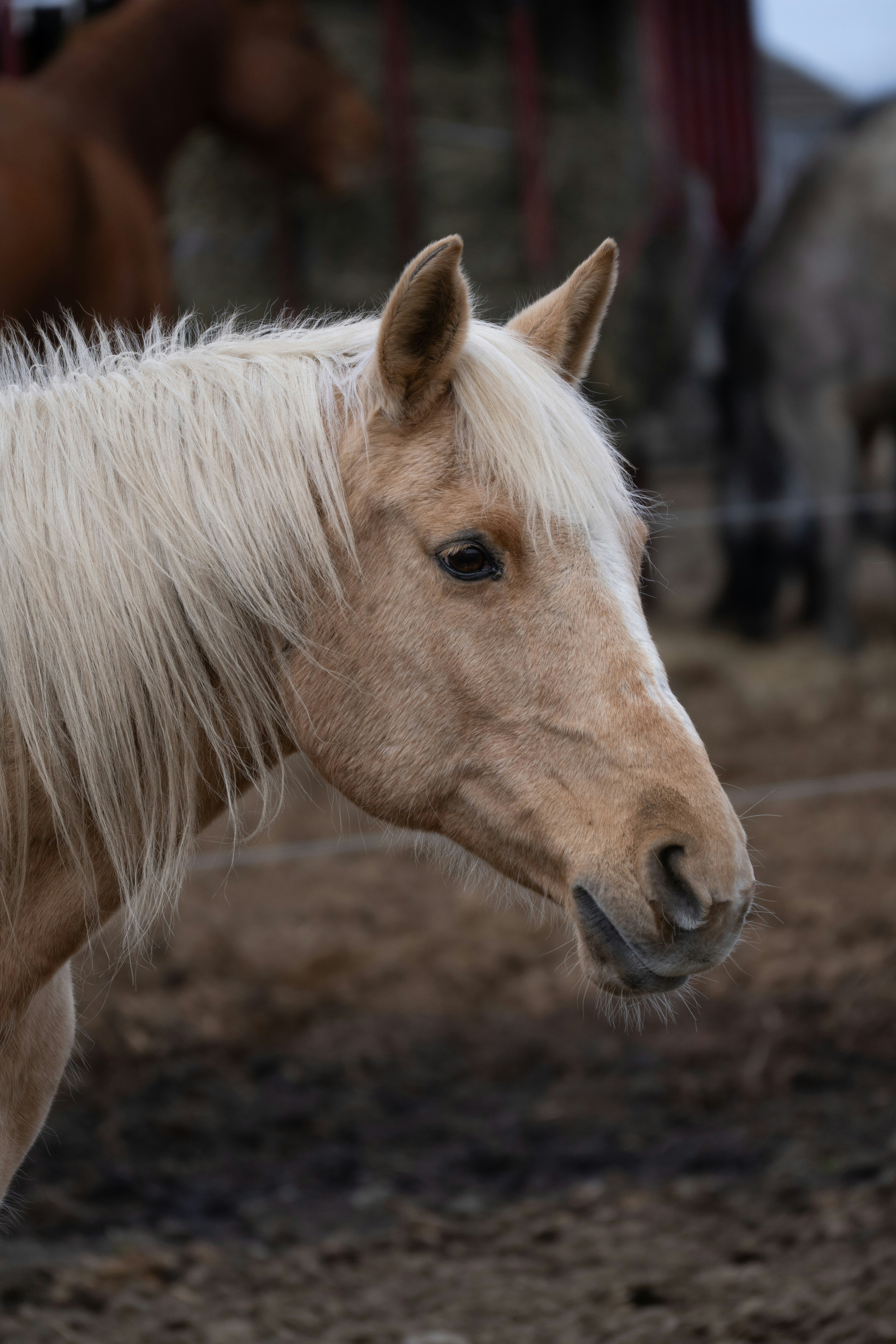 Photo by tog_photography