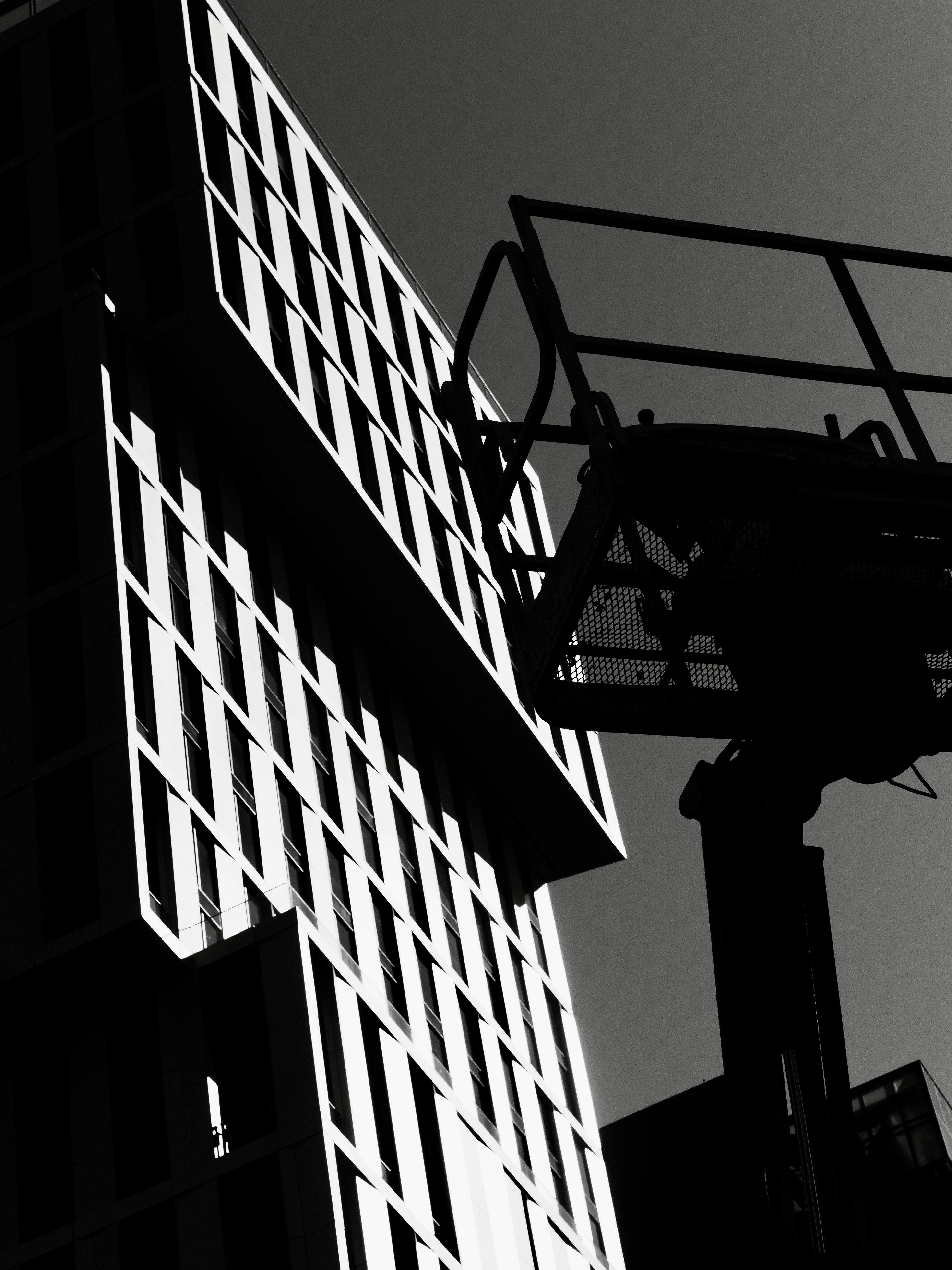 Photo by sschusterphotoart