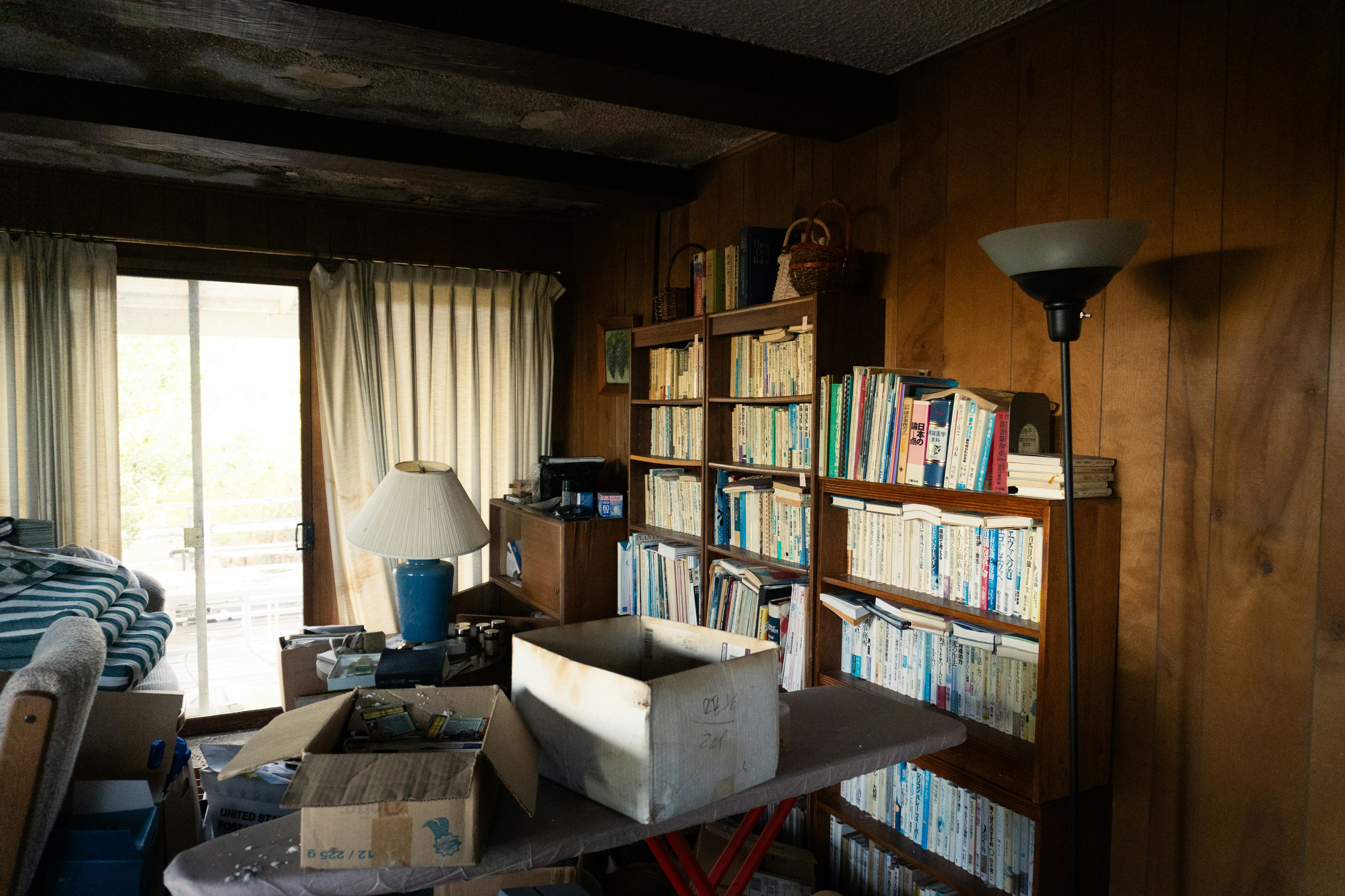 Living room with bookshelves and boxes.
